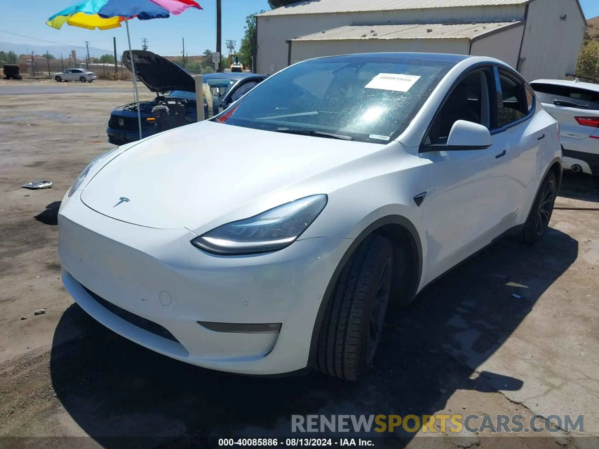 2 Photograph of a damaged car 5YJYGAEE4MF191809 TESLA MODEL Y 2021