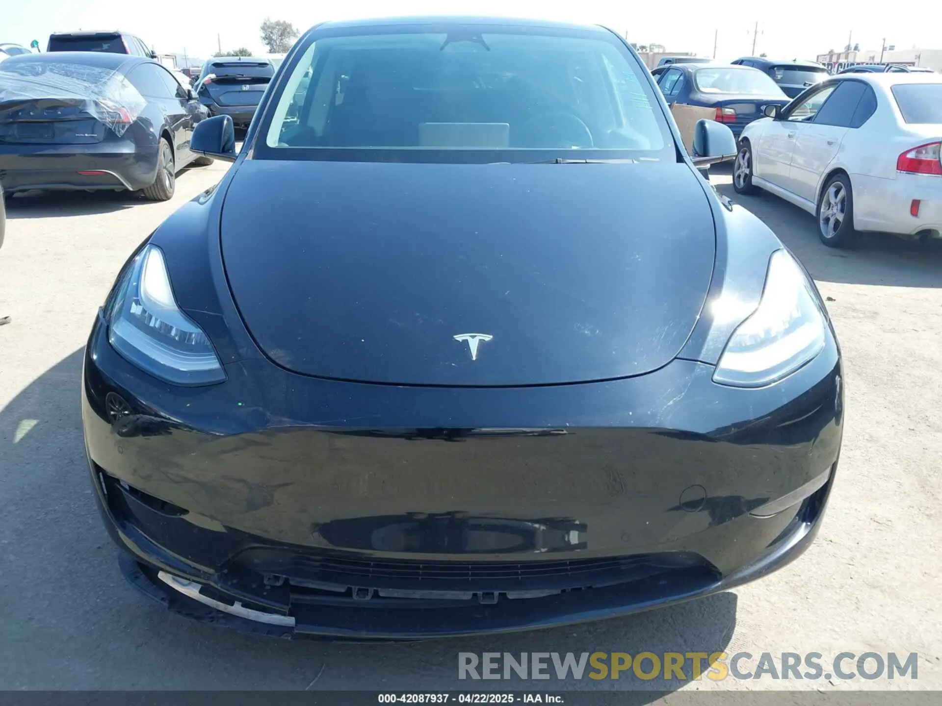12 Photograph of a damaged car 5YJYGDED3MF126569 TESLA MODEL Y 2021