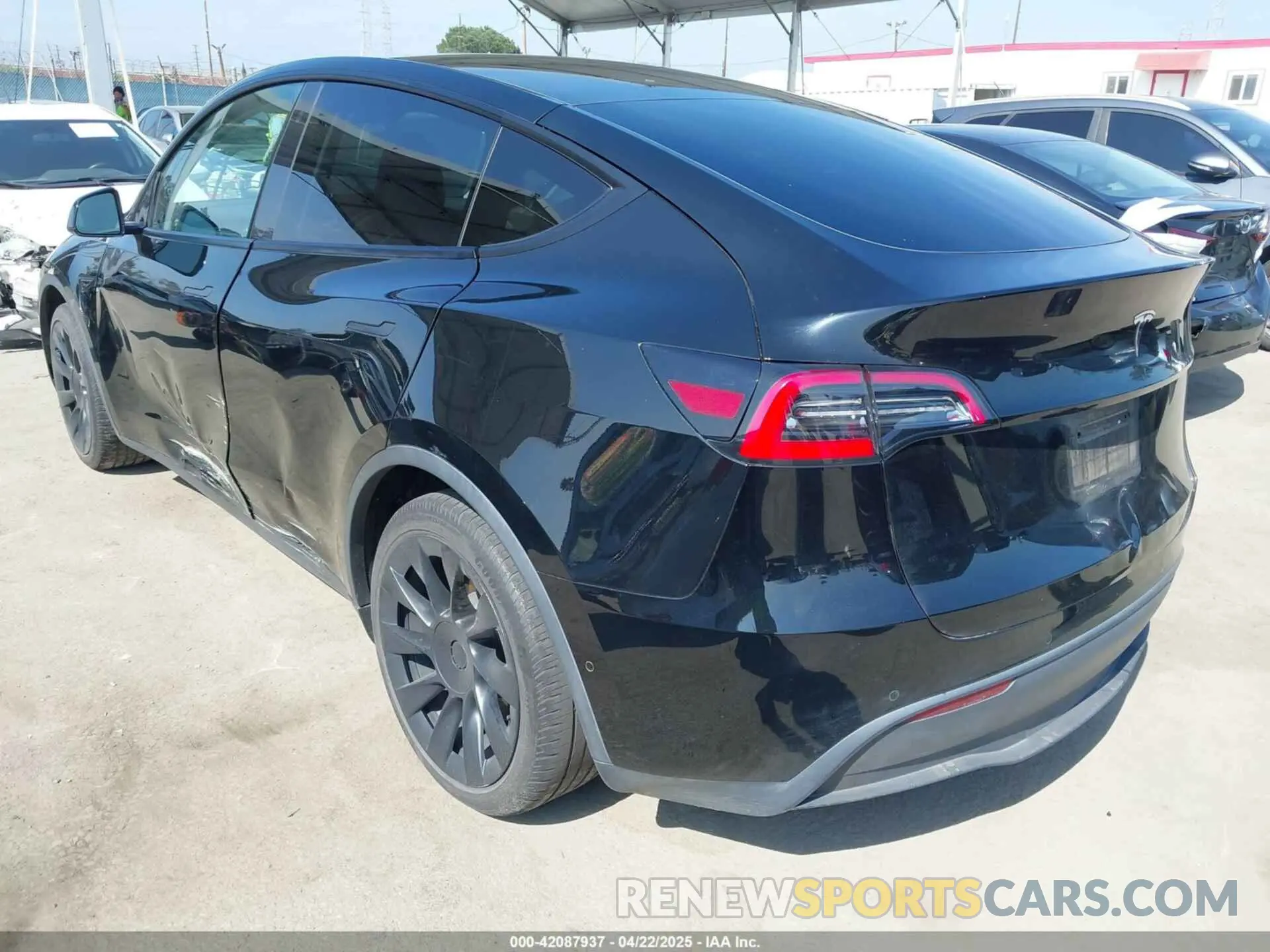 3 Photograph of a damaged car 5YJYGDED3MF126569 TESLA MODEL Y 2021