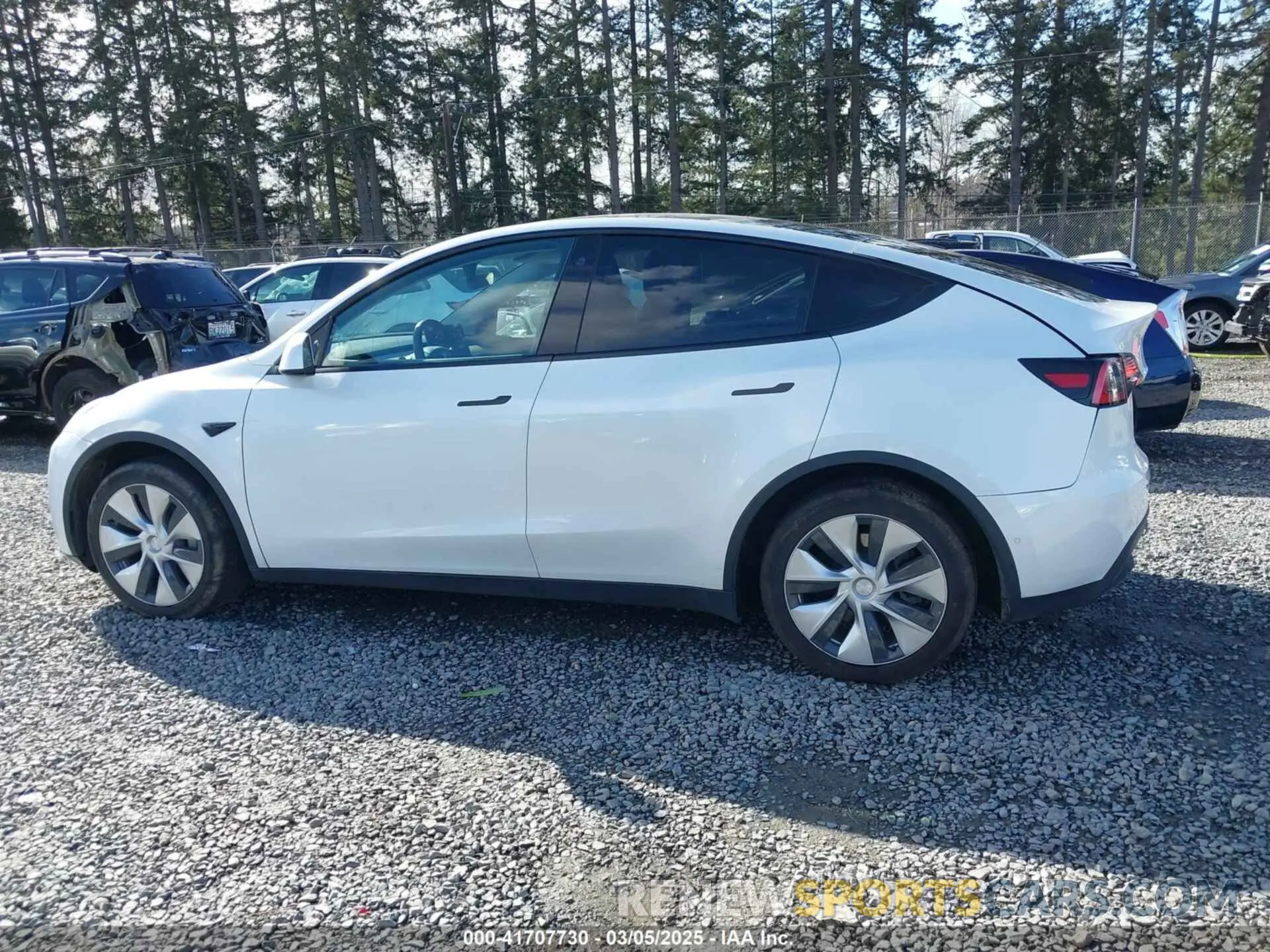 14 Photograph of a damaged car 5YJYGDED9MF110697 TESLA MODEL Y 2021