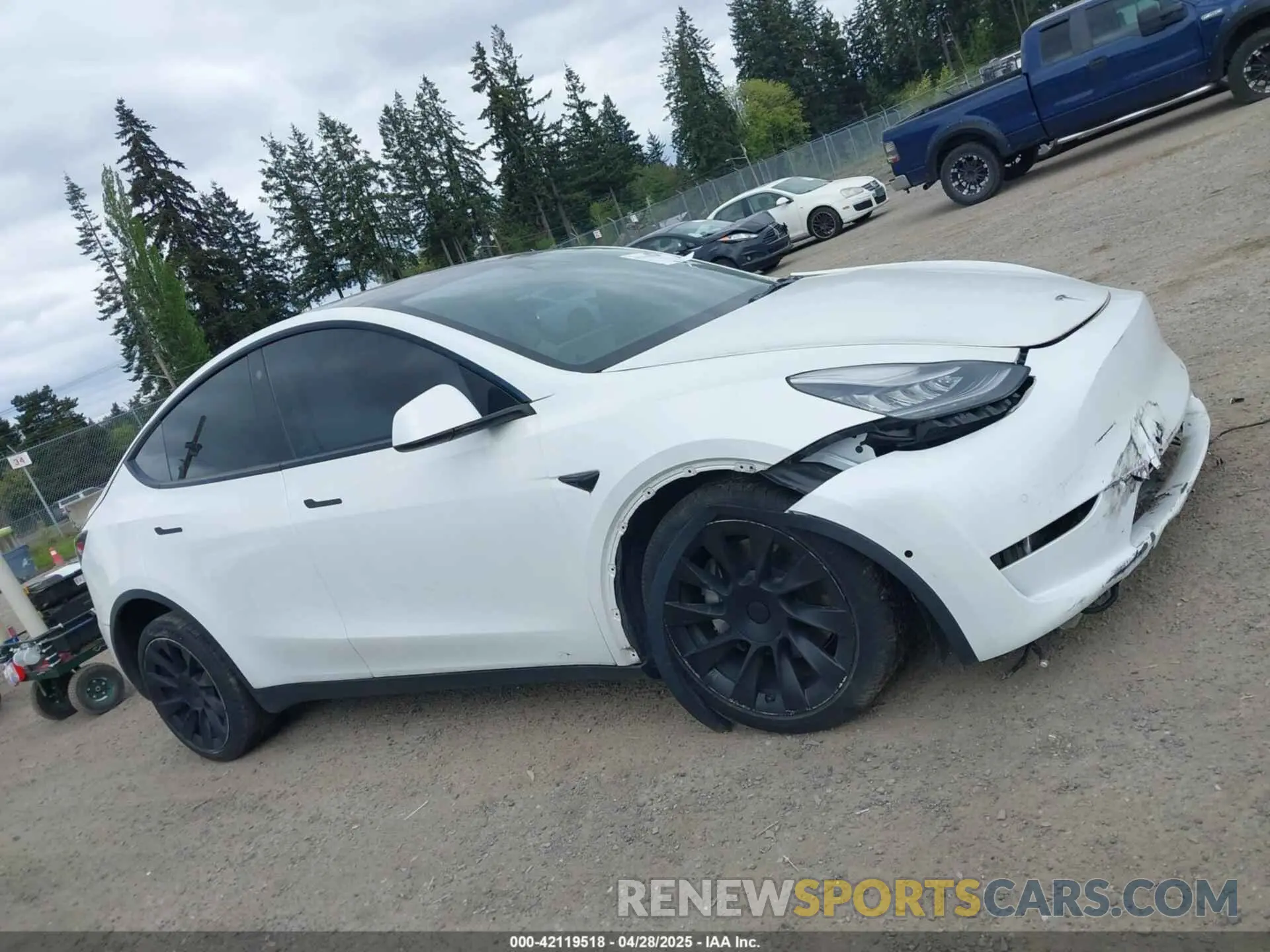 12 Photograph of a damaged car 5YJYGDED9MF121828 TESLA MODEL Y 2021