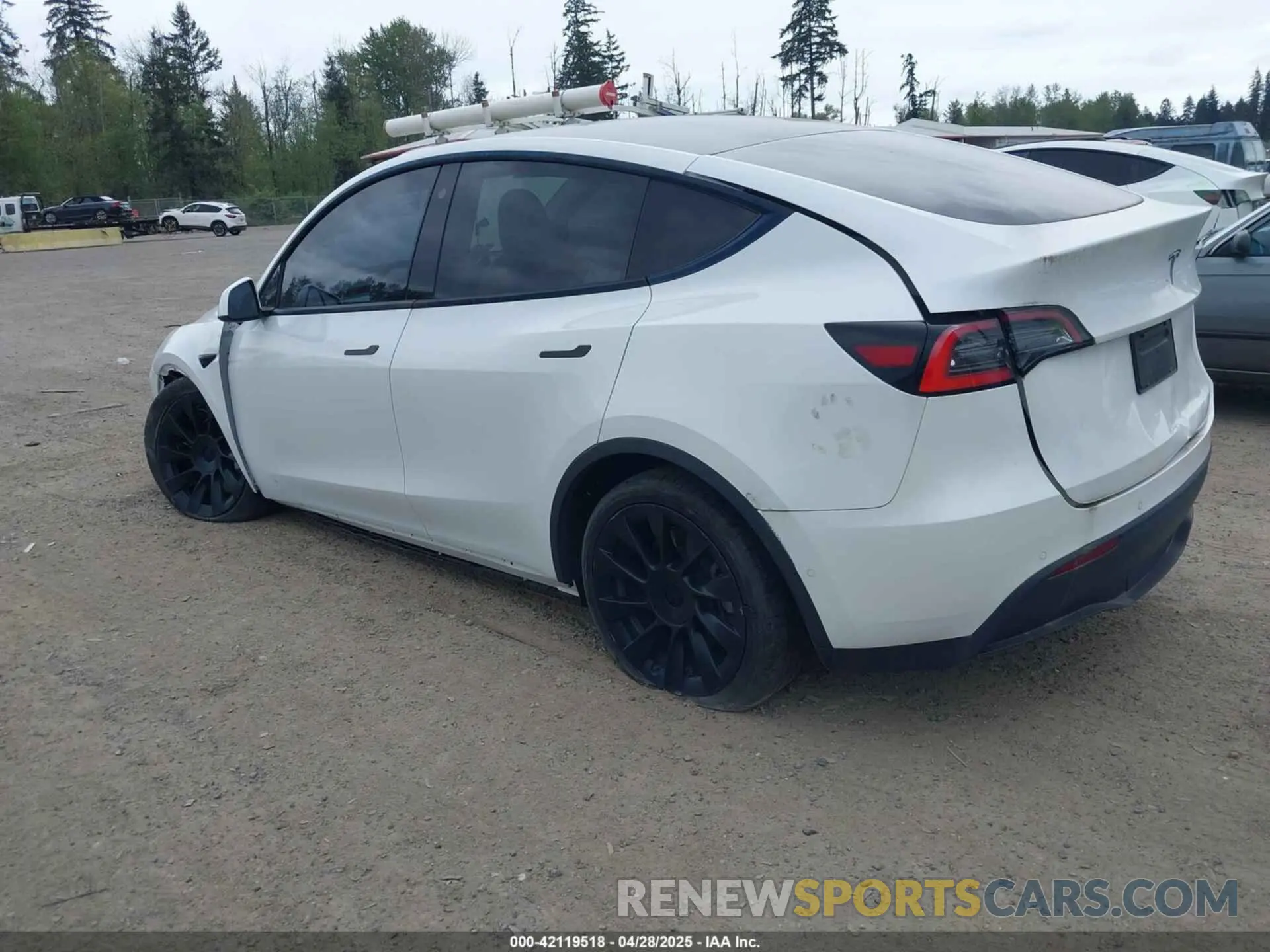 3 Photograph of a damaged car 5YJYGDED9MF121828 TESLA MODEL Y 2021