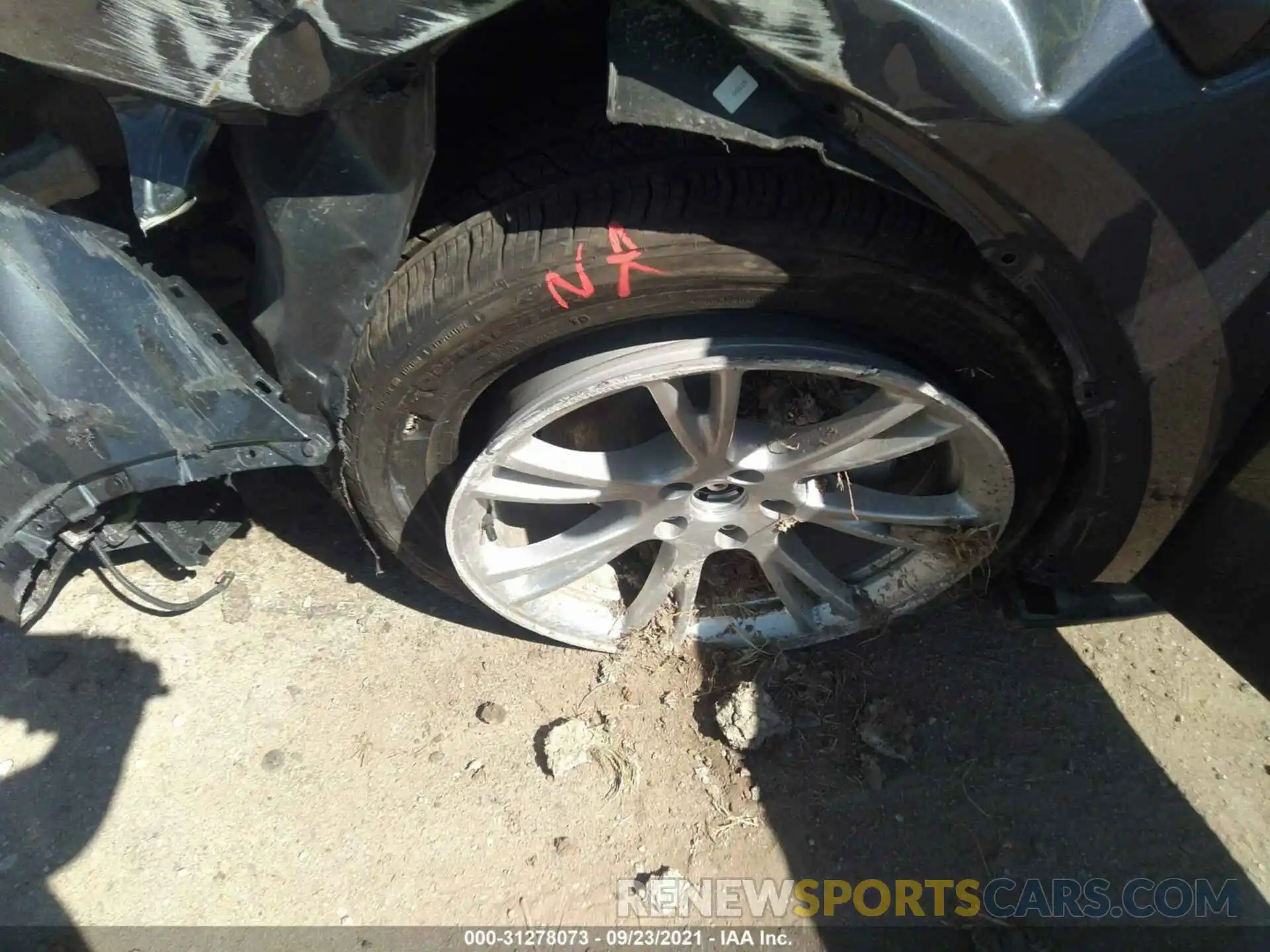 11 Photograph of a damaged car 5YJYGDEE0MF064749 TESLA MODEL Y 2021