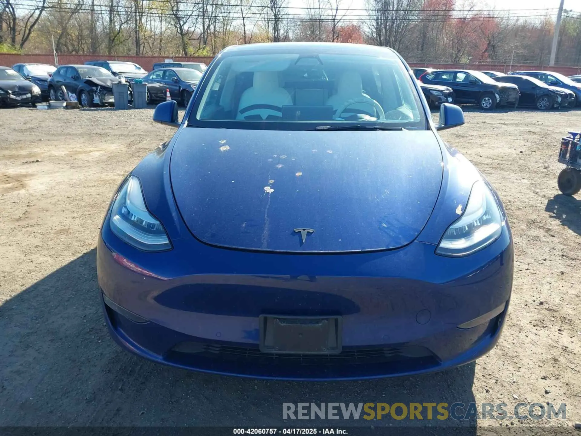 12 Photograph of a damaged car 5YJYGDEE0MF279449 TESLA MODEL Y 2021