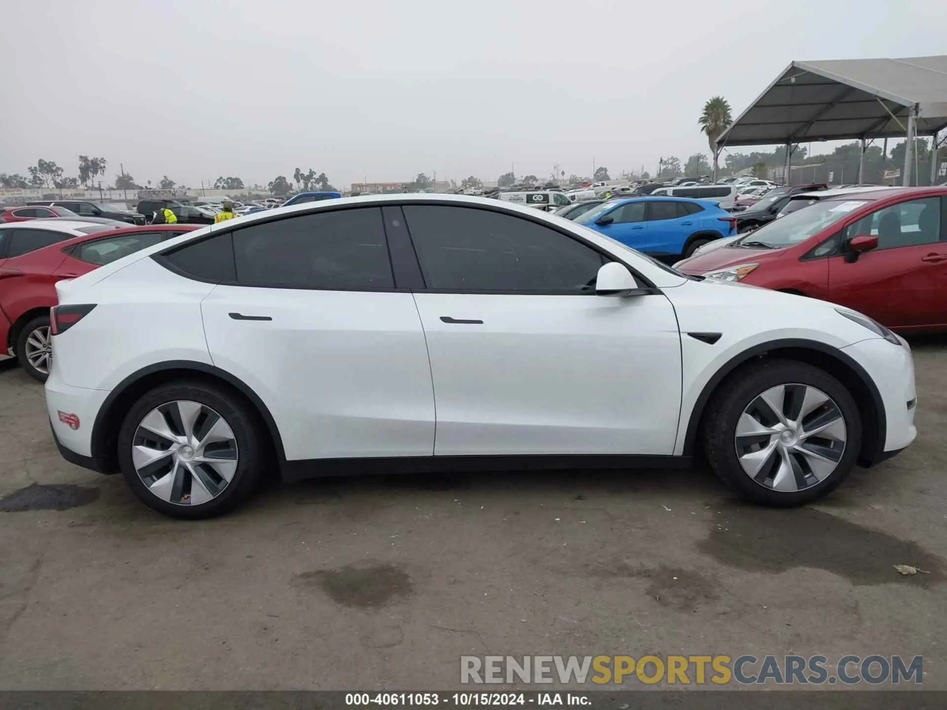 12 Photograph of a damaged car 5YJYGDEE1MF118060 TESLA MODEL Y 2021