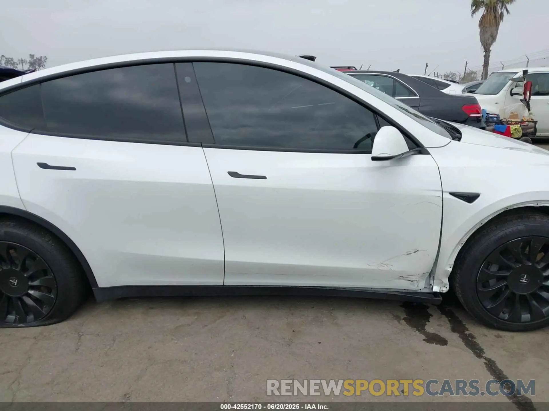 13 Photograph of a damaged car 5YJYGDEE1MF146540 TESLA MODEL Y 2021