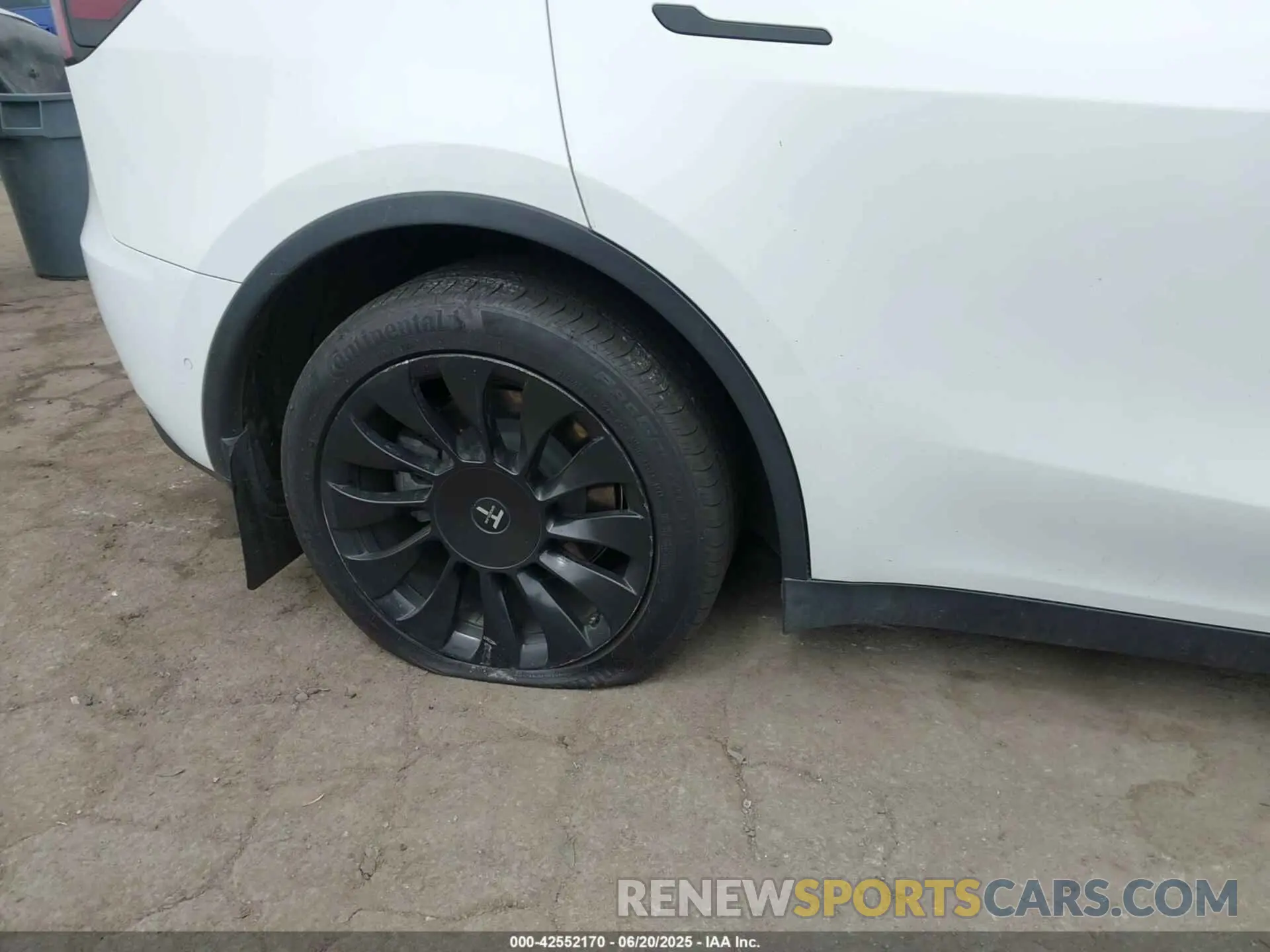 19 Photograph of a damaged car 5YJYGDEE1MF146540 TESLA MODEL Y 2021