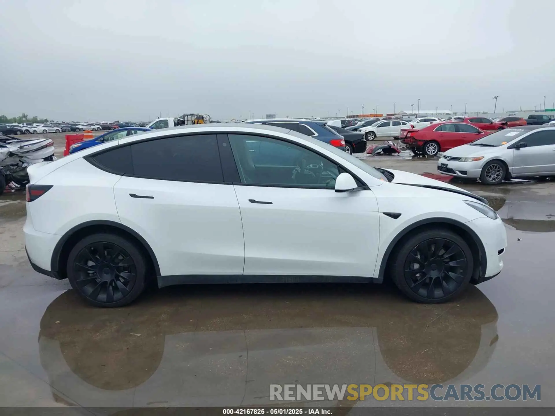 13 Photograph of a damaged car 5YJYGDEE2MF299721 TESLA MODEL Y 2021