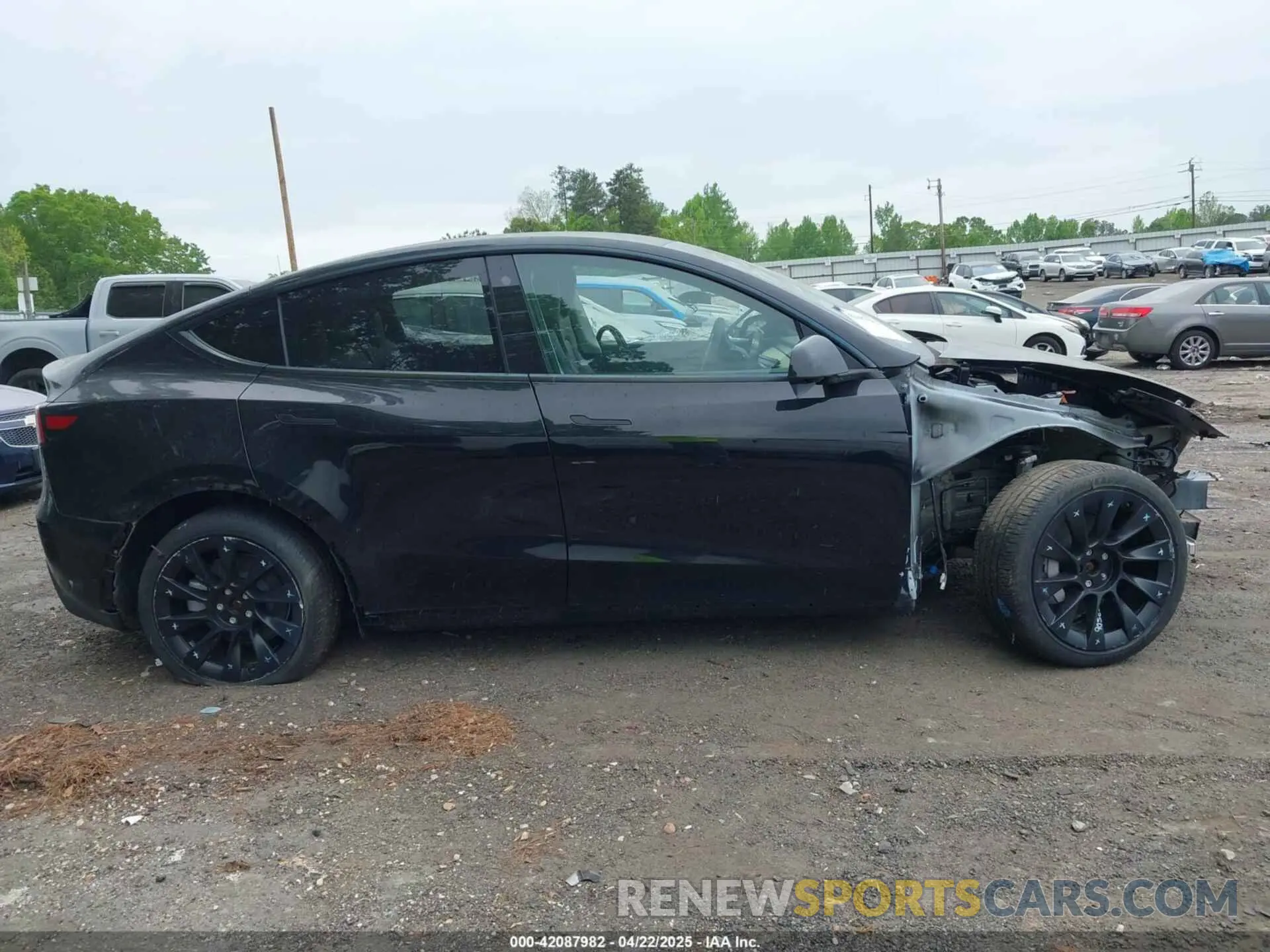 12 Photograph of a damaged car 5YJYGDEE3MF253573 TESLA MODEL Y 2021