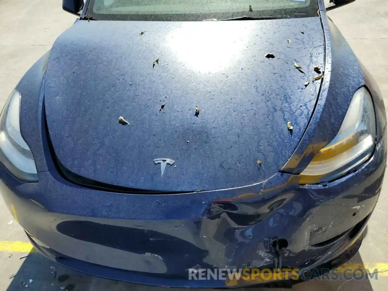 7 Photograph of a damaged car 5YJYGDEE4MF200817 TESLA MODEL Y 2021