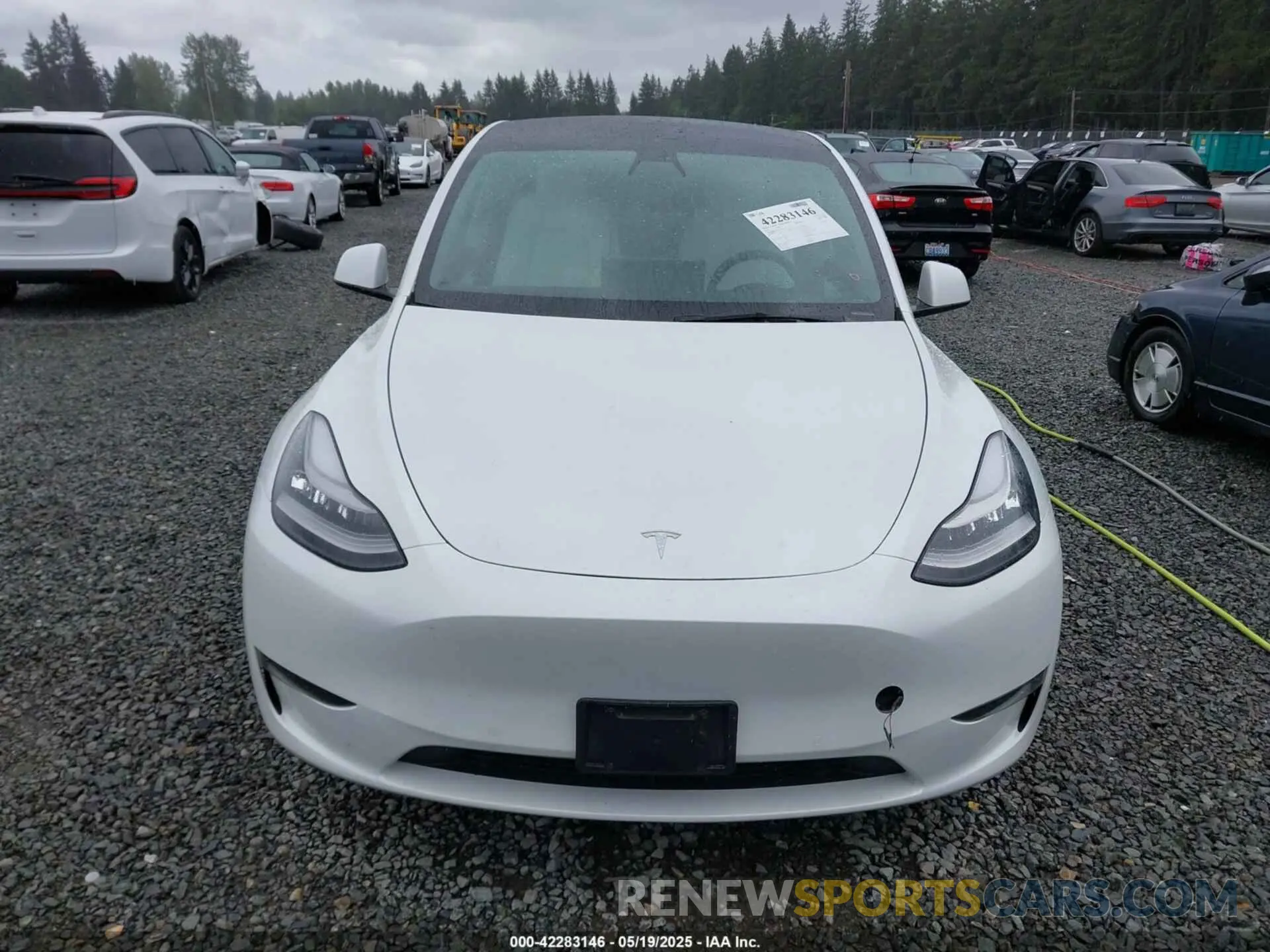 11 Photograph of a damaged car 5YJYGDEE5MF095771 TESLA MODEL Y 2021