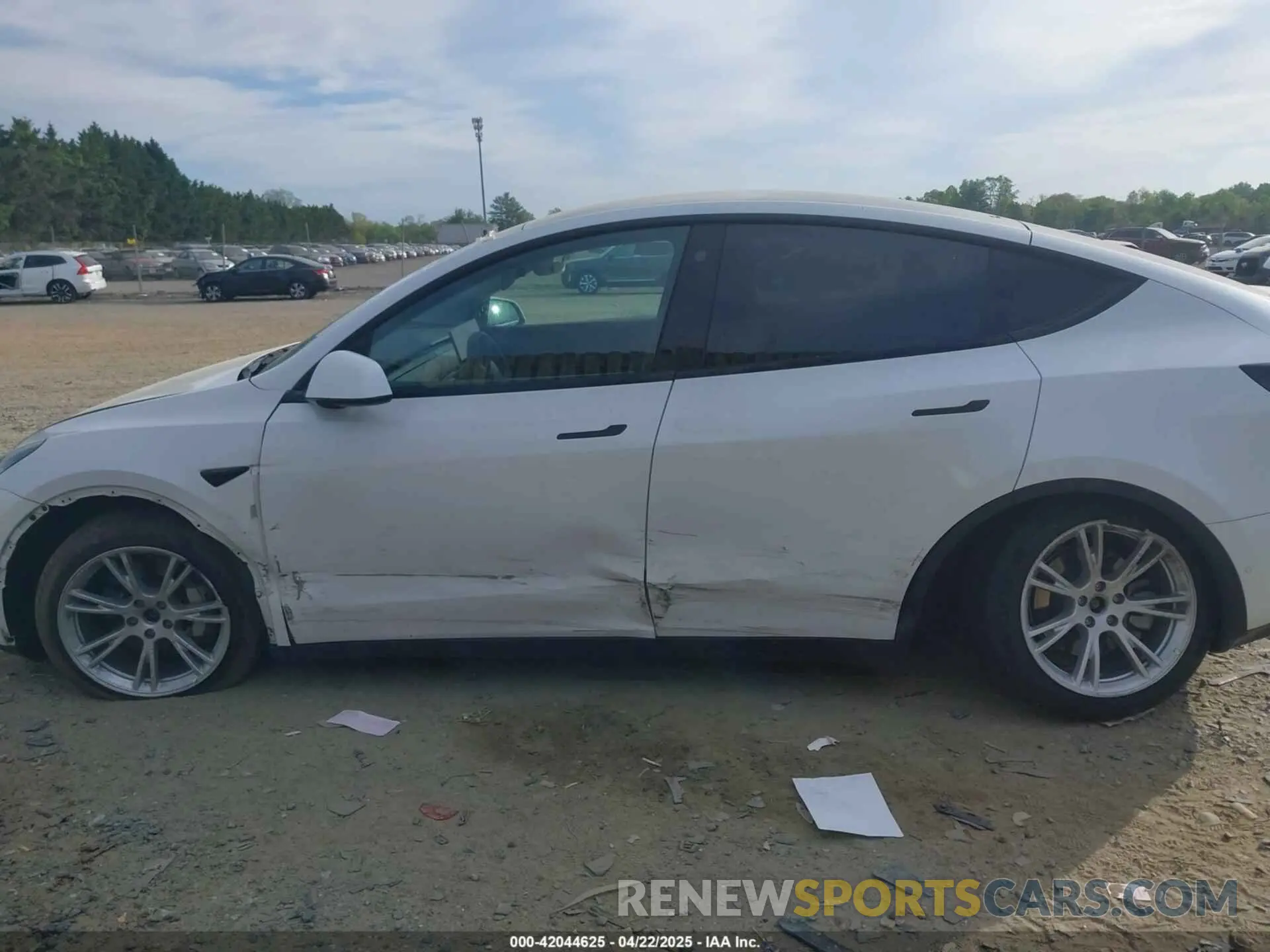 14 Photograph of a damaged car 5YJYGDEE5MF204908 TESLA MODEL Y 2021