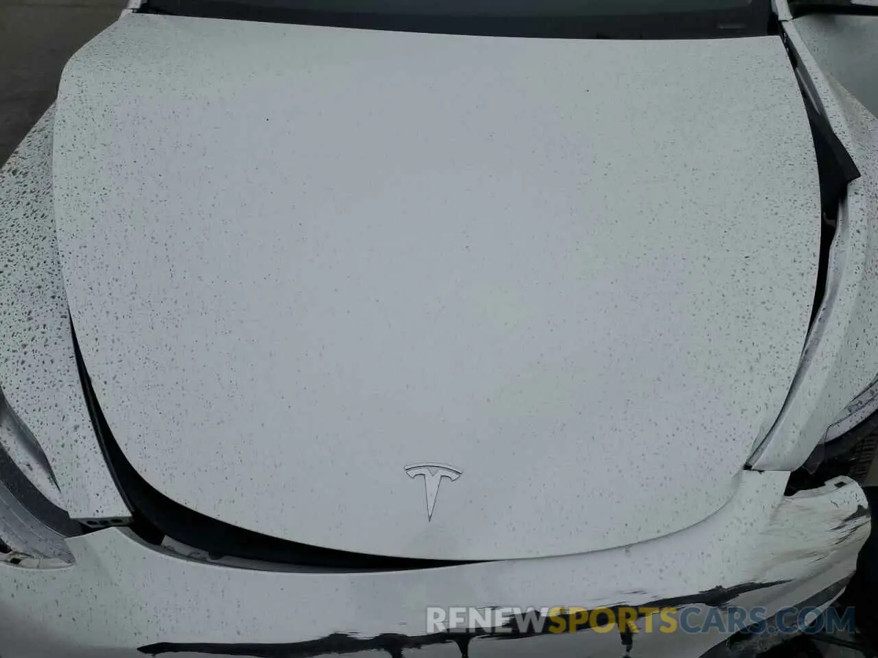 12 Photograph of a damaged car 5YJYGDEE5MF259729 TESLA MODEL Y 2021