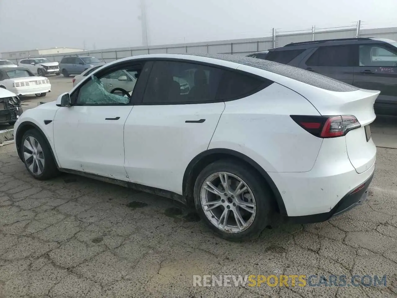 2 Photograph of a damaged car 5YJYGDEE5MF304619 TESLA MODEL Y 2021