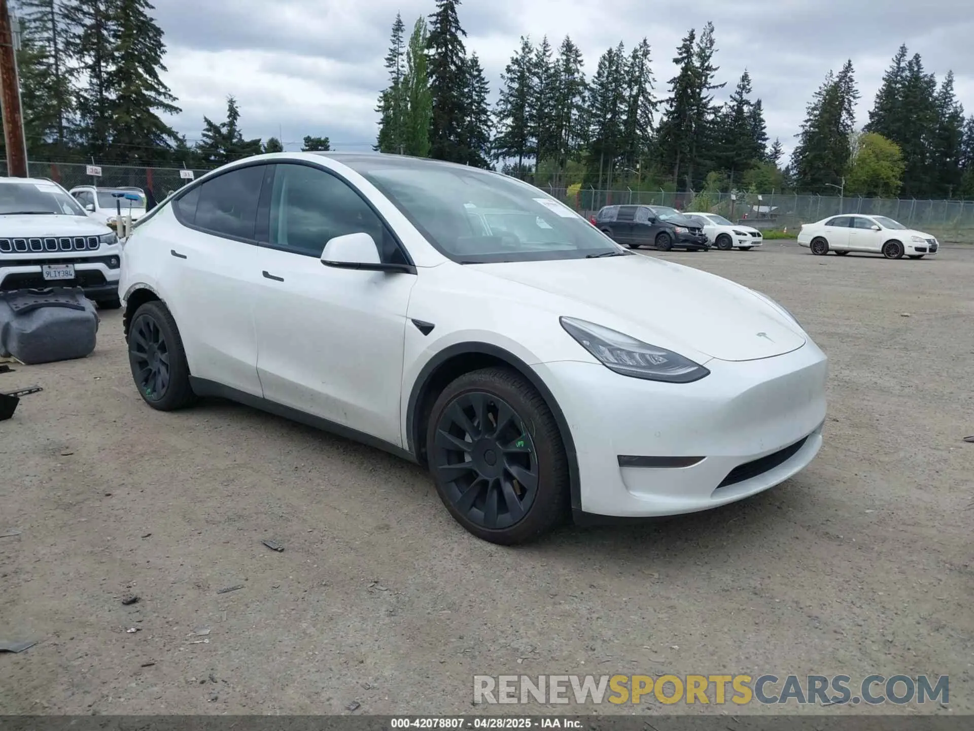 1 Photograph of a damaged car 5YJYGDEE6MF082883 TESLA MODEL Y 2021
