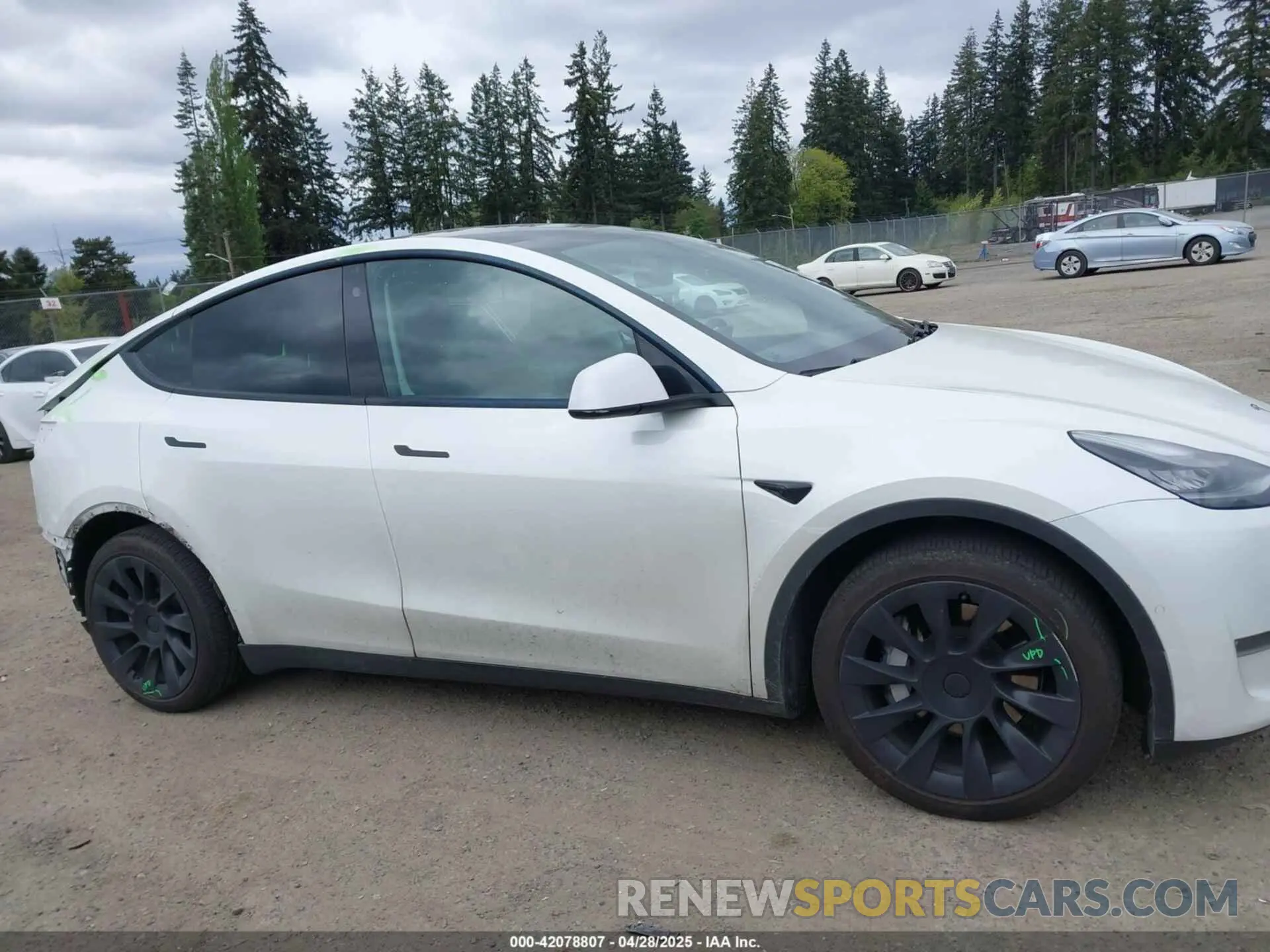 14 Photograph of a damaged car 5YJYGDEE6MF082883 TESLA MODEL Y 2021