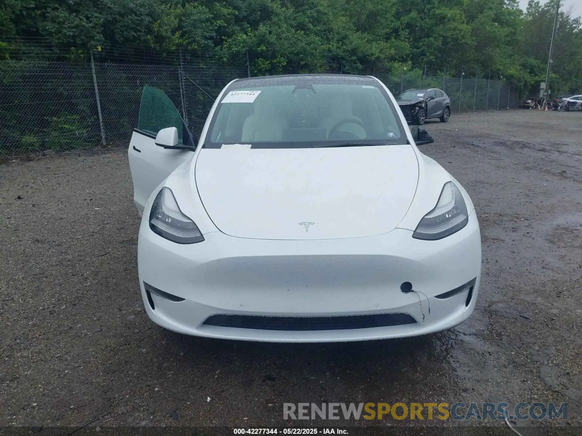 12 Photograph of a damaged car 5YJYGDEE6MF182630 TESLA MODEL Y 2021