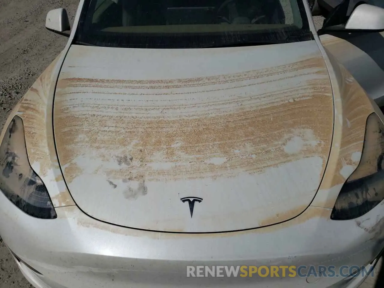 11 Photograph of a damaged car 5YJYGDEE6MF302085 TESLA MODEL Y 2021