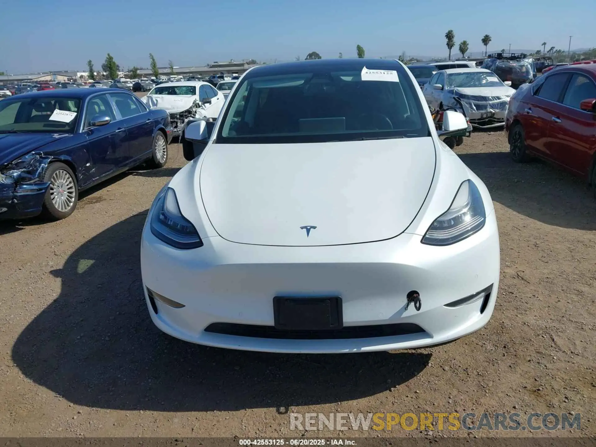 12 Photograph of a damaged car 5YJYGDEE7MF085758 TESLA MODEL Y 2021