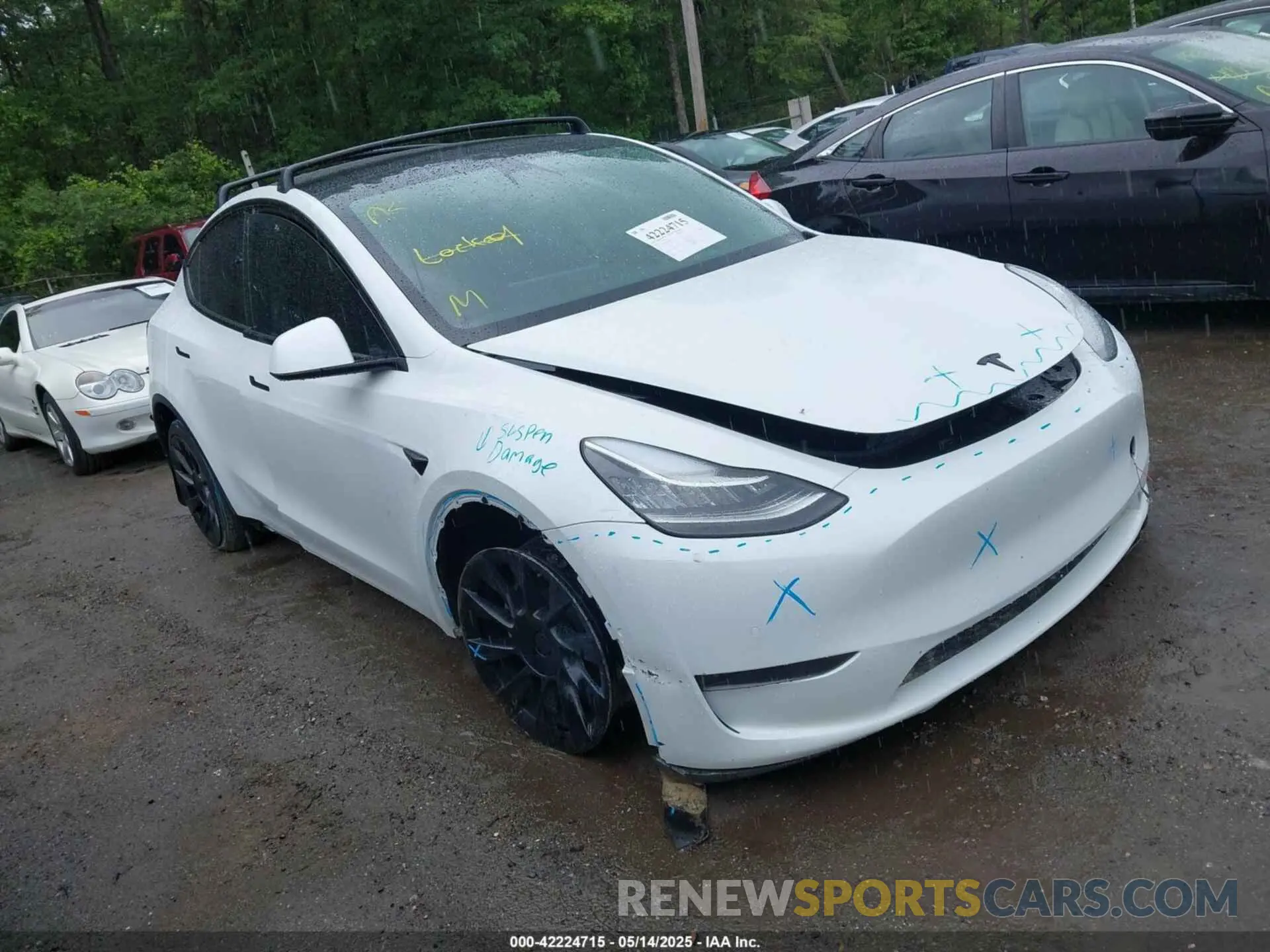 1 Photograph of a damaged car 5YJYGDEE7MF108245 TESLA MODEL Y 2021