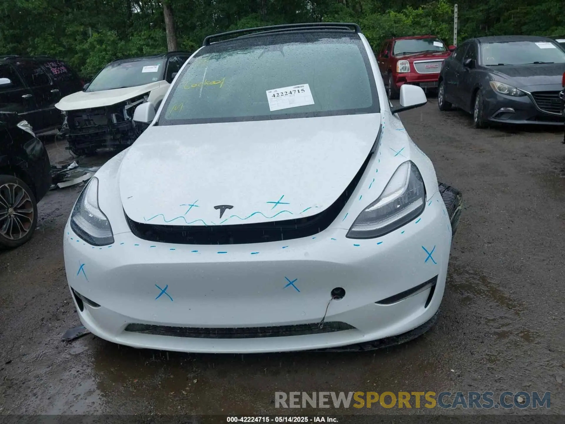 11 Photograph of a damaged car 5YJYGDEE7MF108245 TESLA MODEL Y 2021
