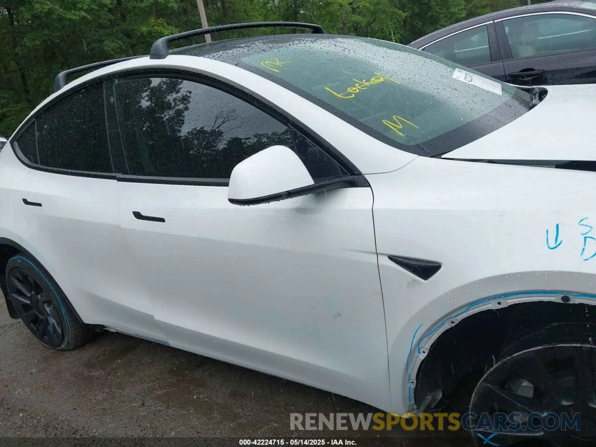 12 Photograph of a damaged car 5YJYGDEE7MF108245 TESLA MODEL Y 2021
