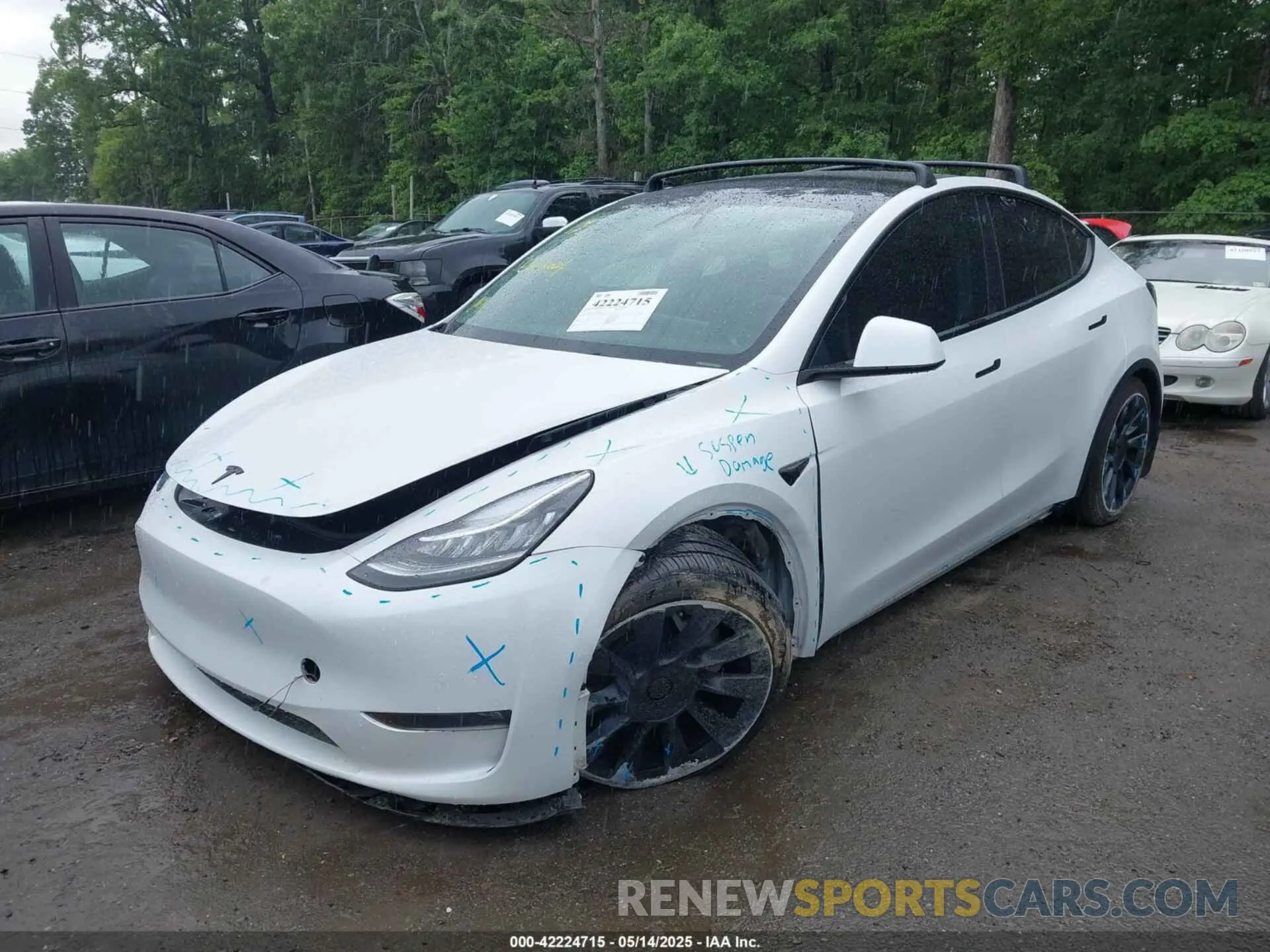 2 Photograph of a damaged car 5YJYGDEE7MF108245 TESLA MODEL Y 2021