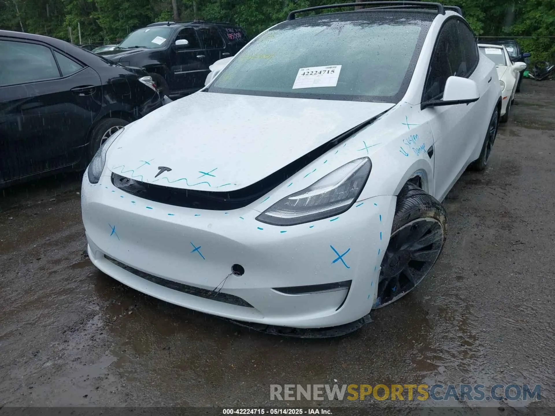6 Photograph of a damaged car 5YJYGDEE7MF108245 TESLA MODEL Y 2021