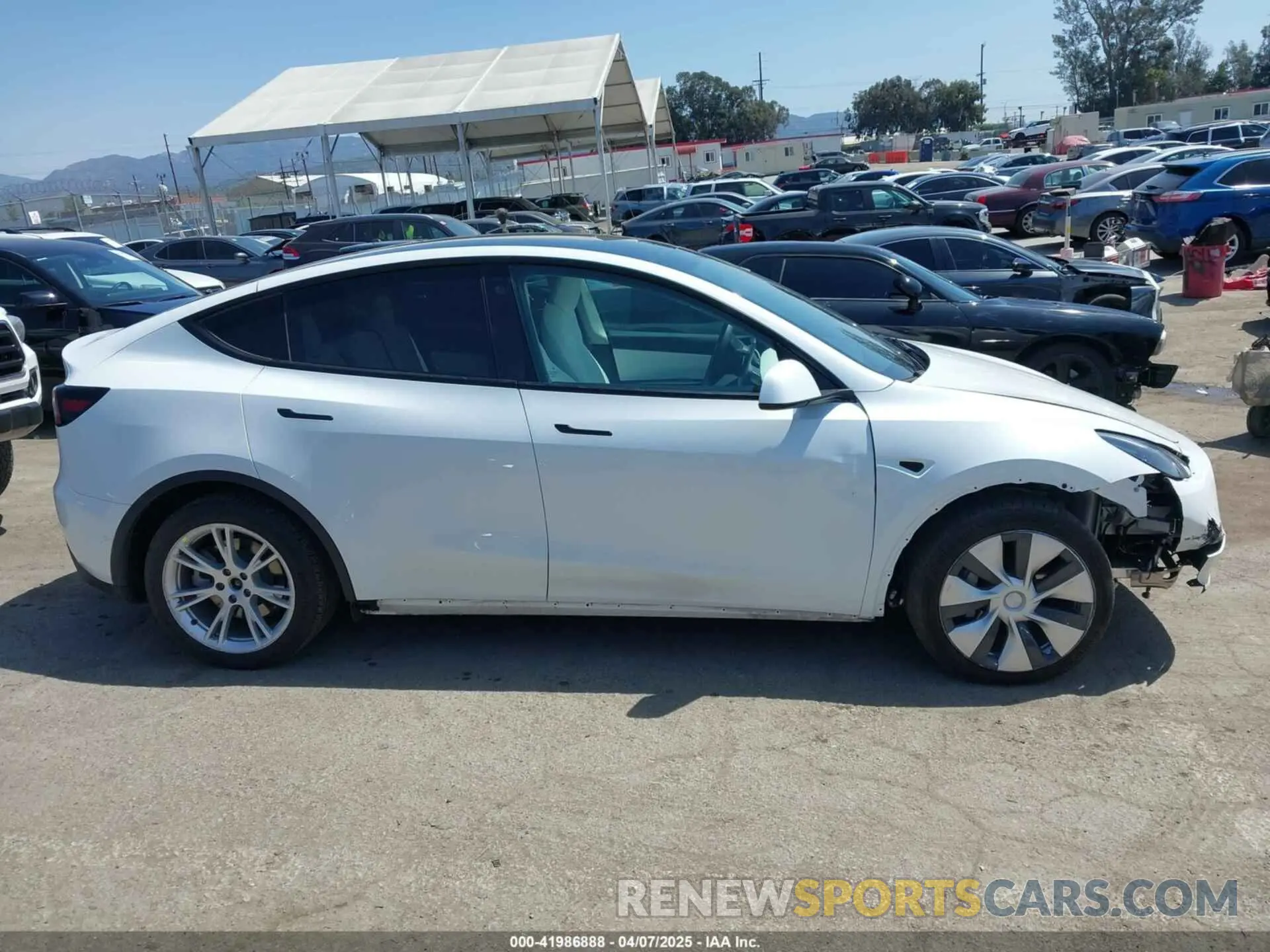 13 Photograph of a damaged car 5YJYGDEE7MF279223 TESLA MODEL Y 2021