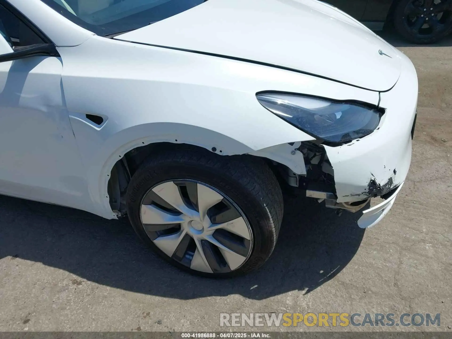 19 Photograph of a damaged car 5YJYGDEE7MF279223 TESLA MODEL Y 2021