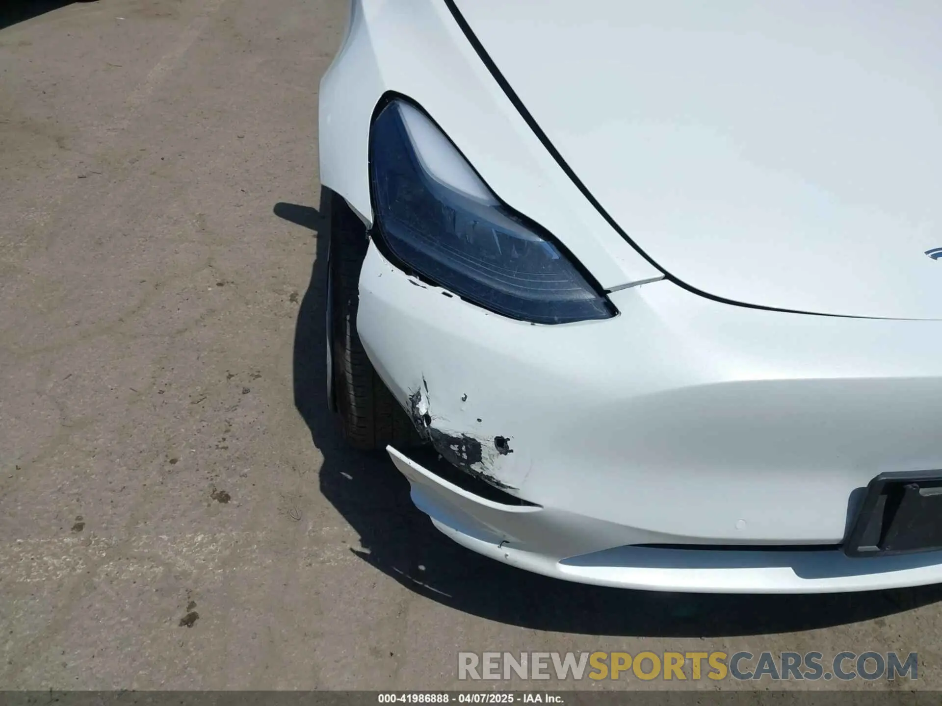 21 Photograph of a damaged car 5YJYGDEE7MF279223 TESLA MODEL Y 2021