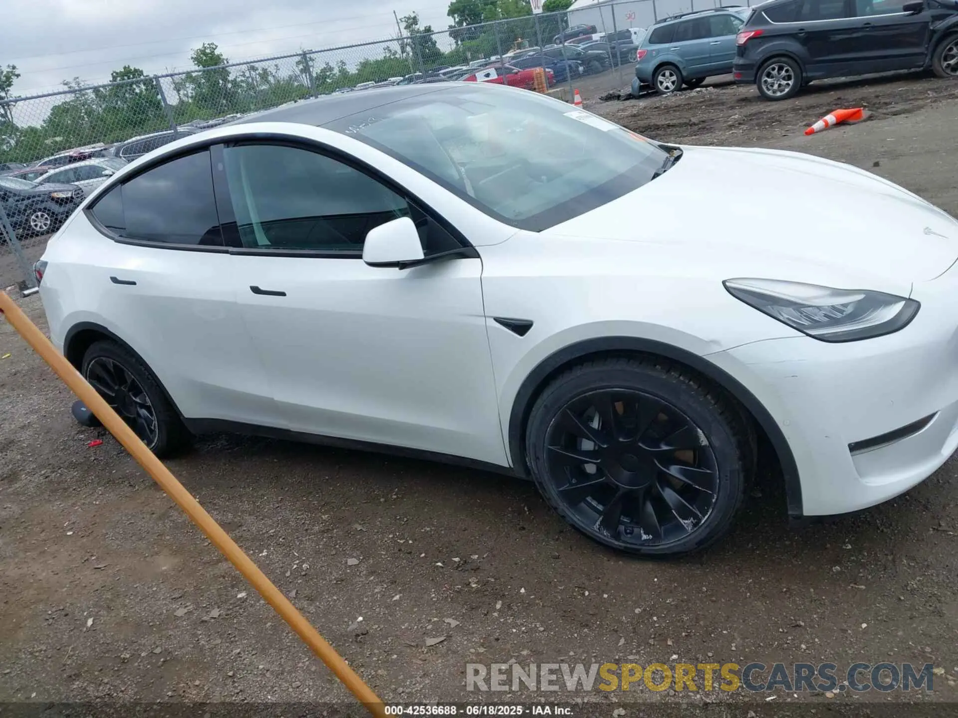 12 Photograph of a damaged car 5YJYGDEE8MF068886 TESLA MODEL Y 2021
