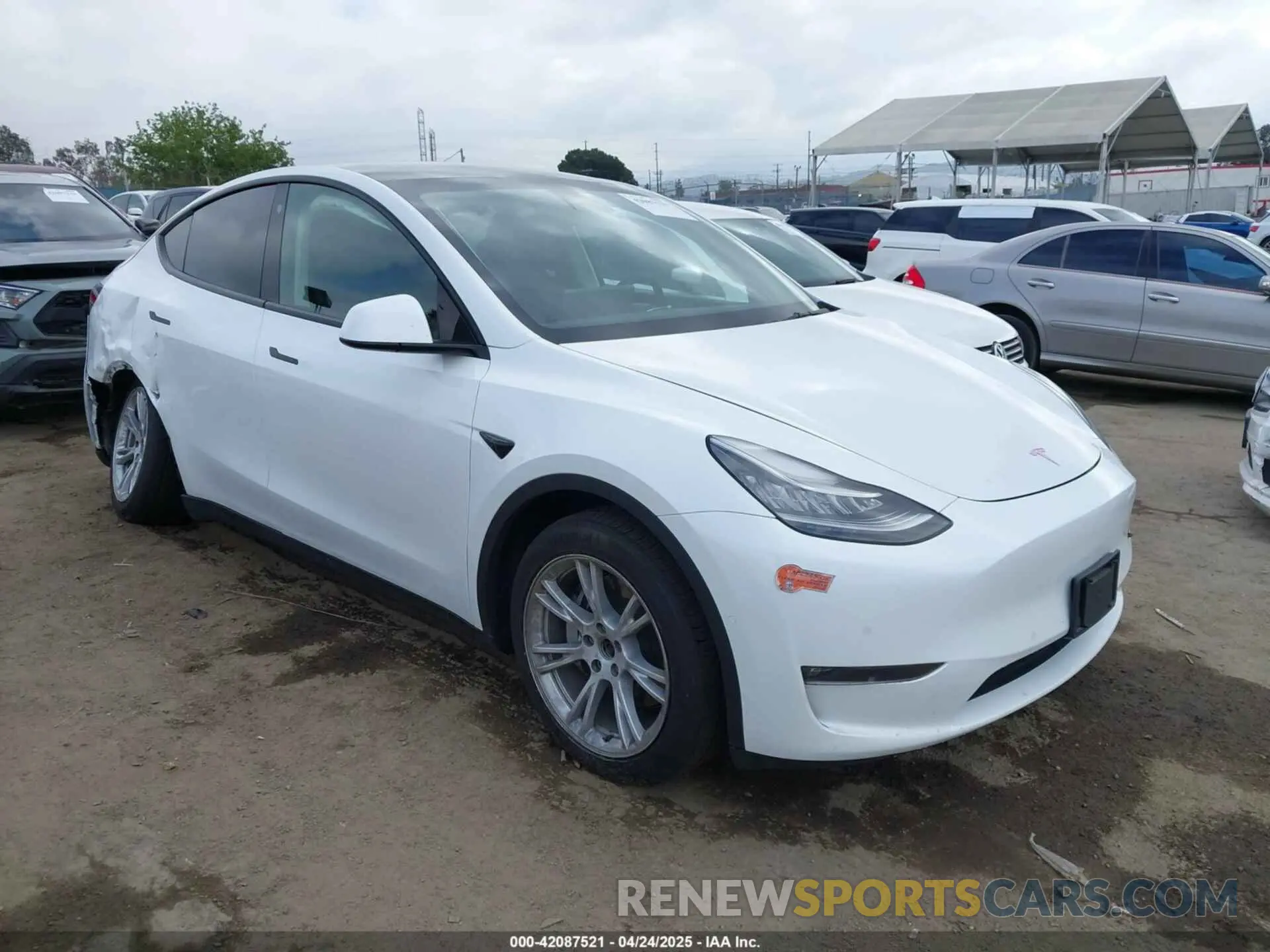1 Photograph of a damaged car 5YJYGDEE8MF199686 TESLA MODEL Y 2021