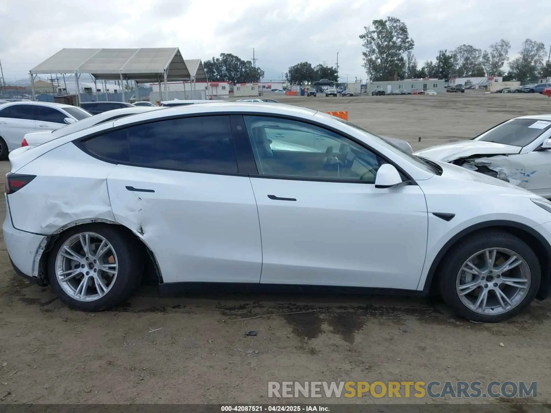 14 Photograph of a damaged car 5YJYGDEE8MF199686 TESLA MODEL Y 2021