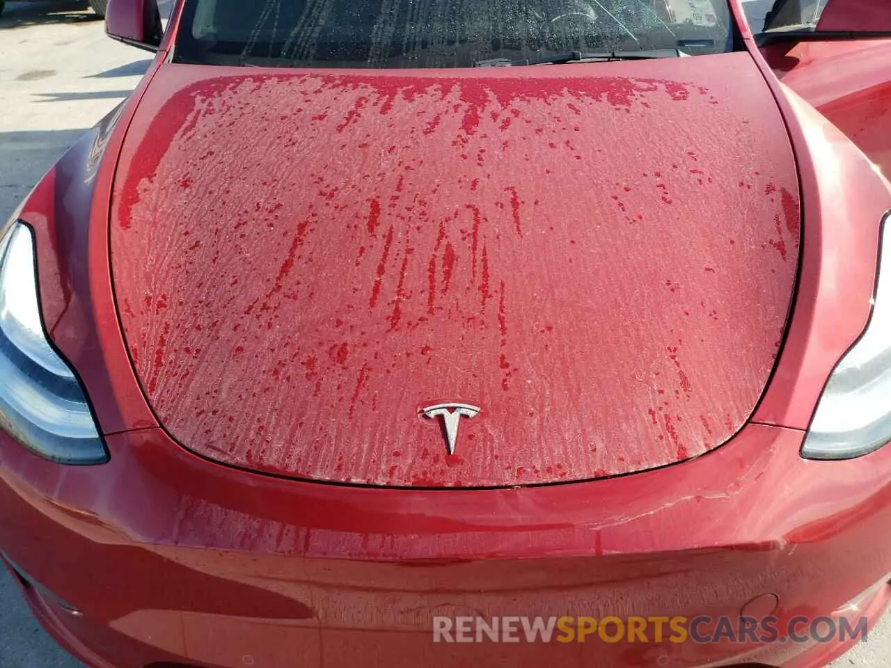 12 Photograph of a damaged car 5YJYGDEE8MF260891 TESLA MODEL Y 2021