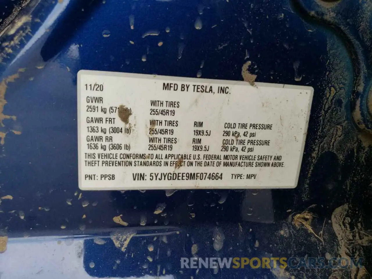 13 Photograph of a damaged car 5YJYGDEE9MF074664 TESLA MODEL Y 2021