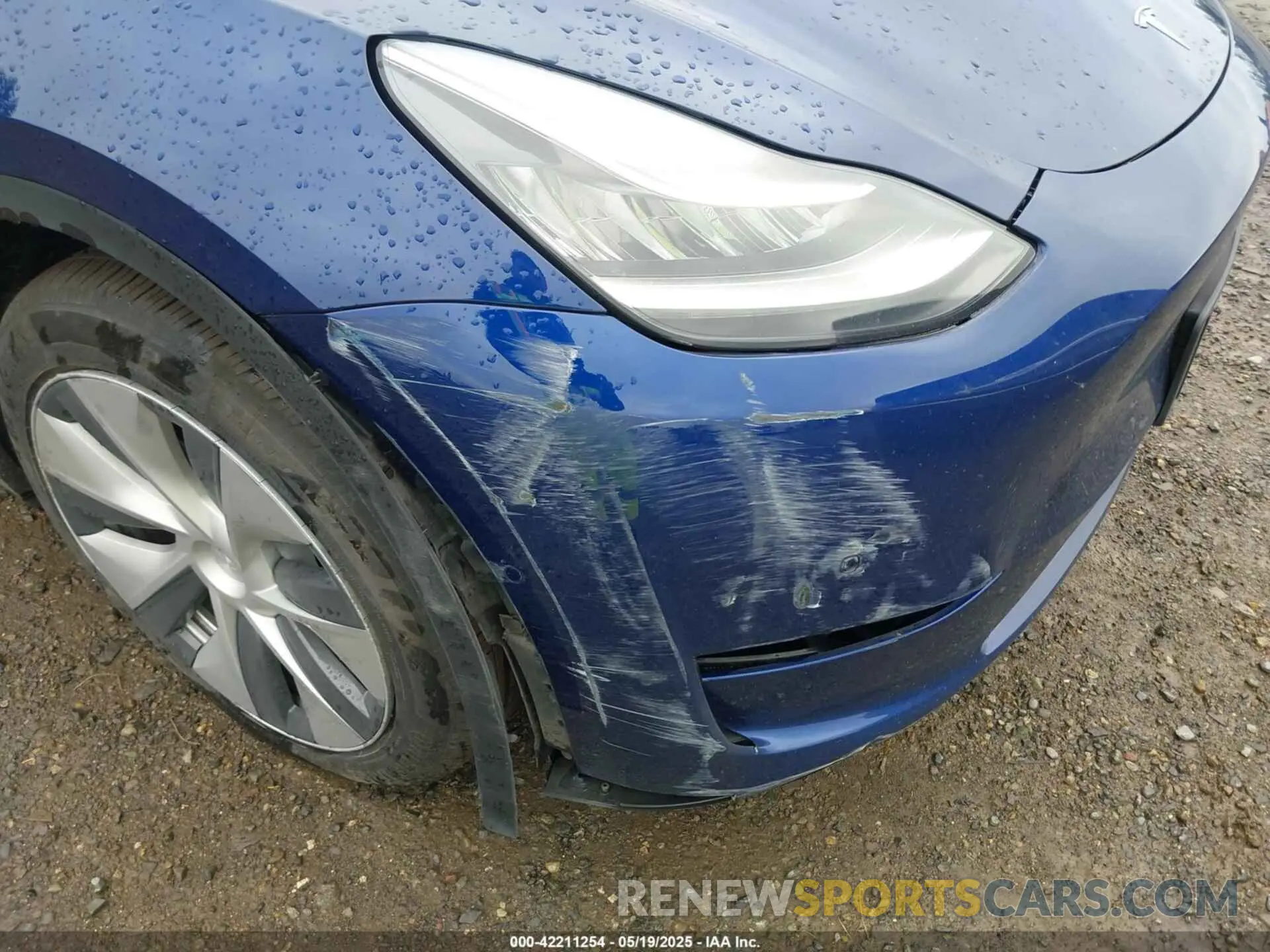 21 Photograph of a damaged car 5YJYGDEE9MF117500 TESLA MODEL Y 2021