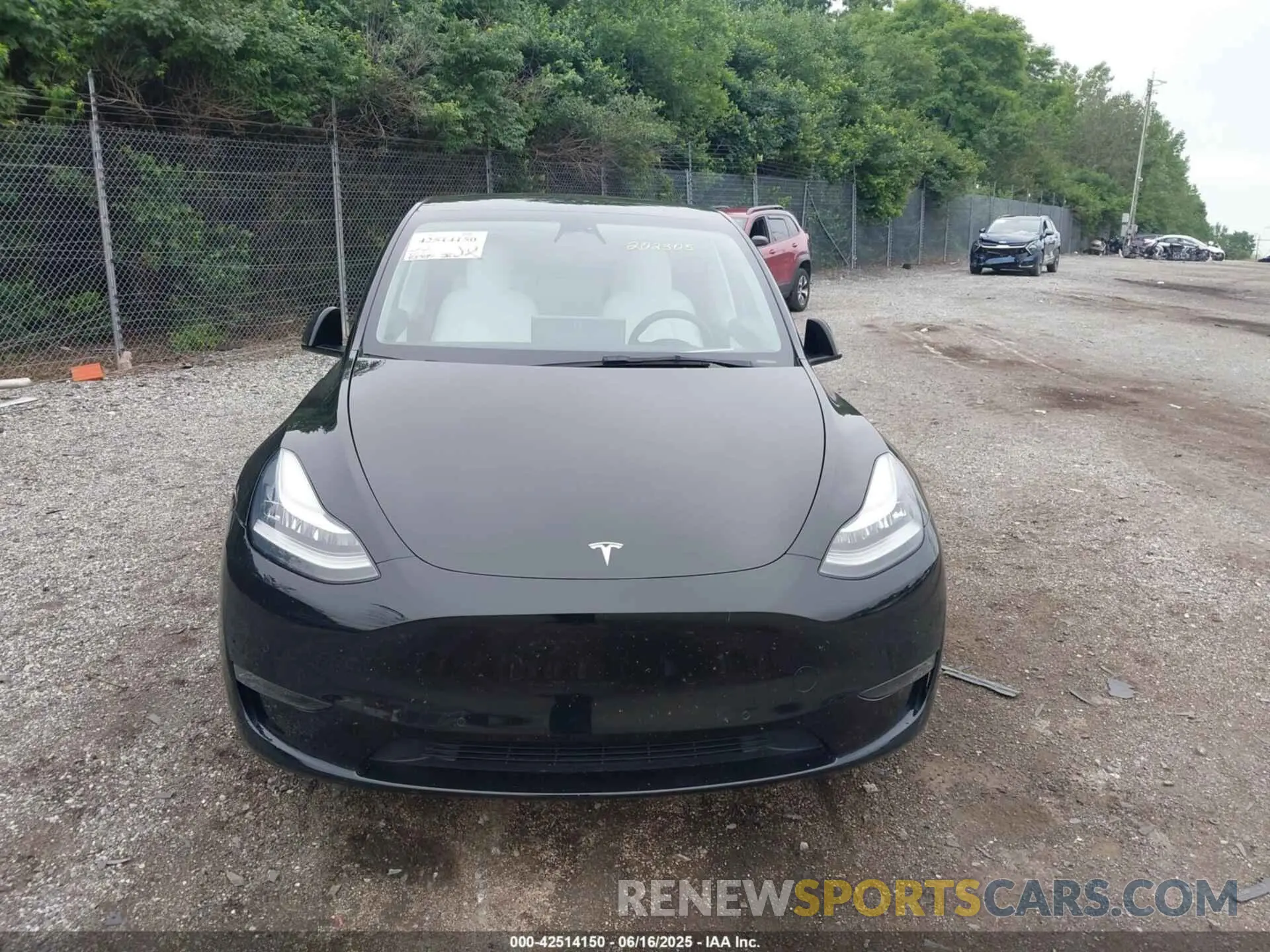 12 Photograph of a damaged car 5YJYGDEE9MF202305 TESLA MODEL Y 2021