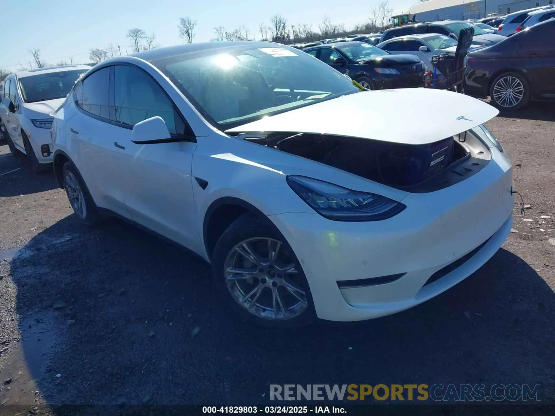 1 Photograph of a damaged car 5YJYGDEEXMF085530 TESLA MODEL Y 2021