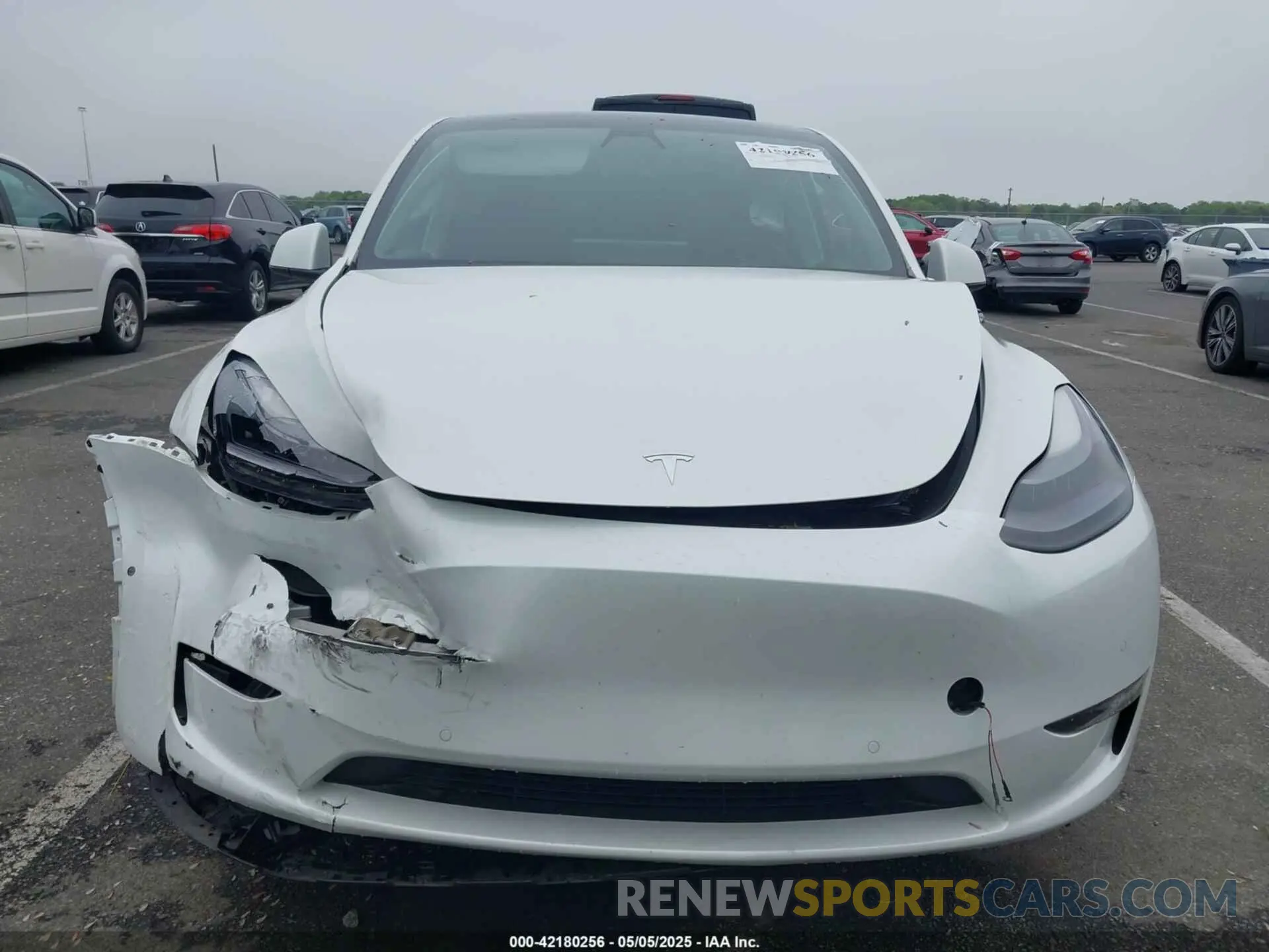 12 Photograph of a damaged car 5YJYGDEF1MF251359 TESLA MODEL Y 2021