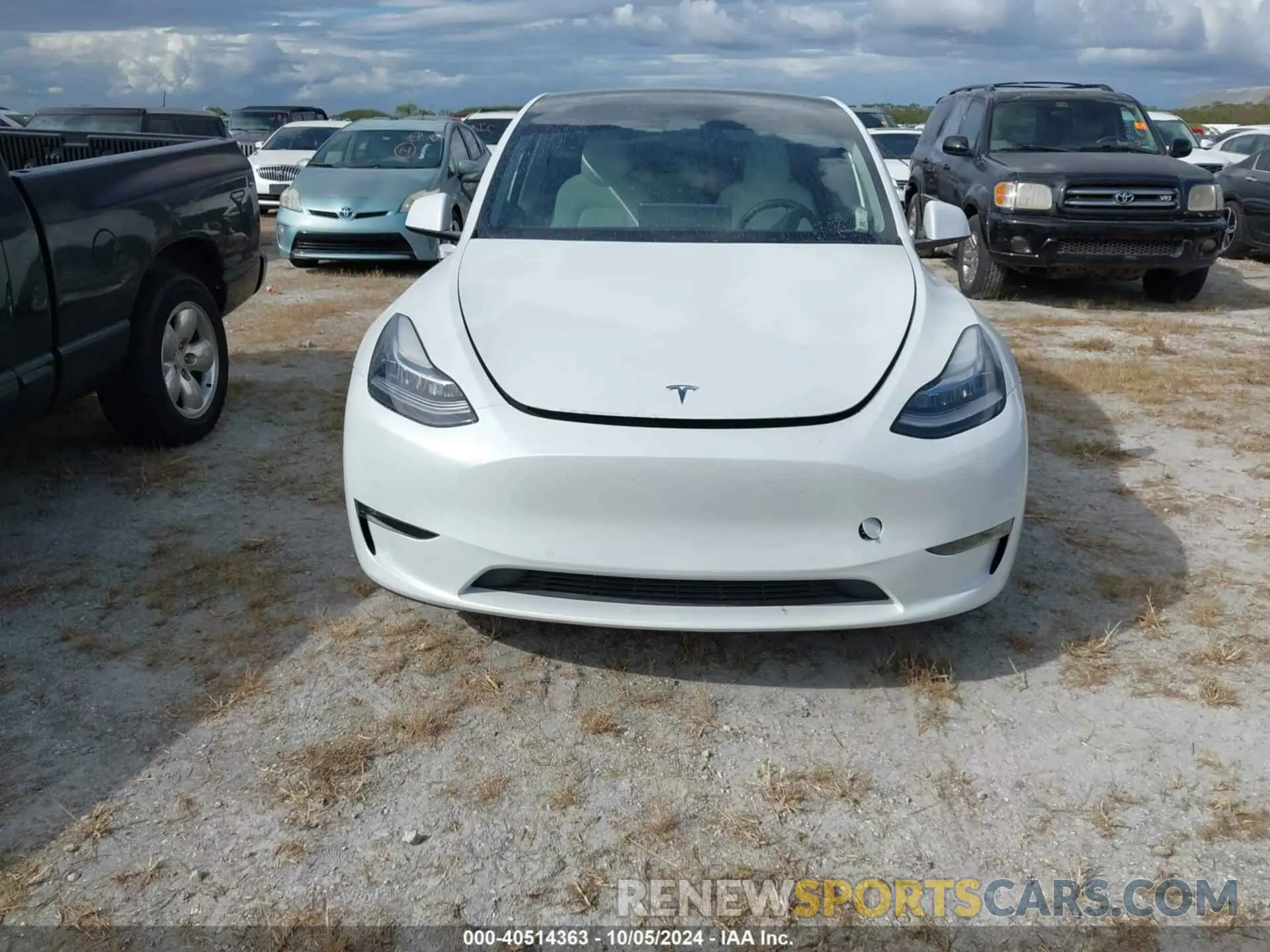 12 Photograph of a damaged car 7SAYGAEE0NF427036 TESLA MODEL Y 2022
