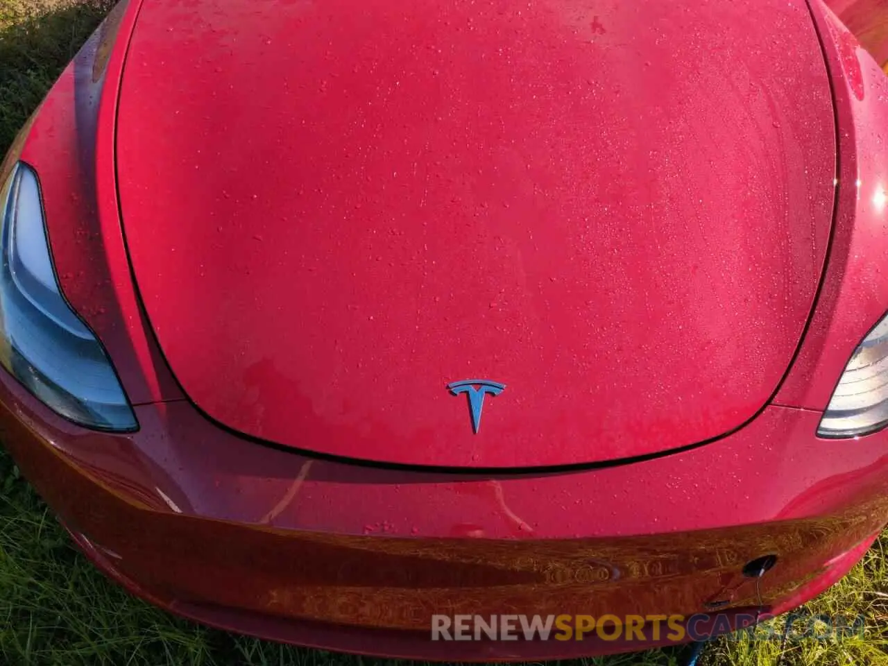 12 Photograph of a damaged car 7SAYGAEE1NF538081 TESLA MODEL Y 2022