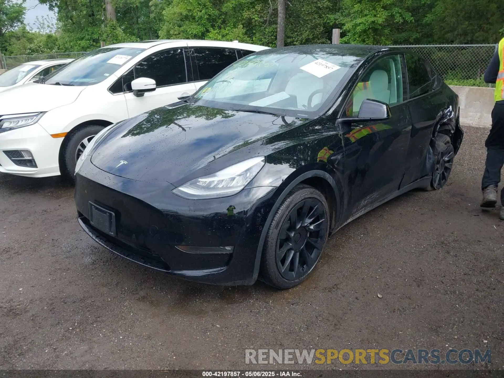 2 Photograph of a damaged car 7SAYGAEE9NF464960 TESLA MODEL Y 2022