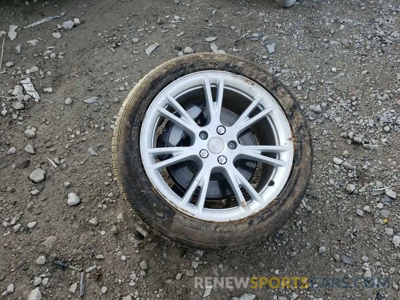 12 Photograph of a damaged car 7SAYGDEE0NF331439 TESLA MODEL Y 2022