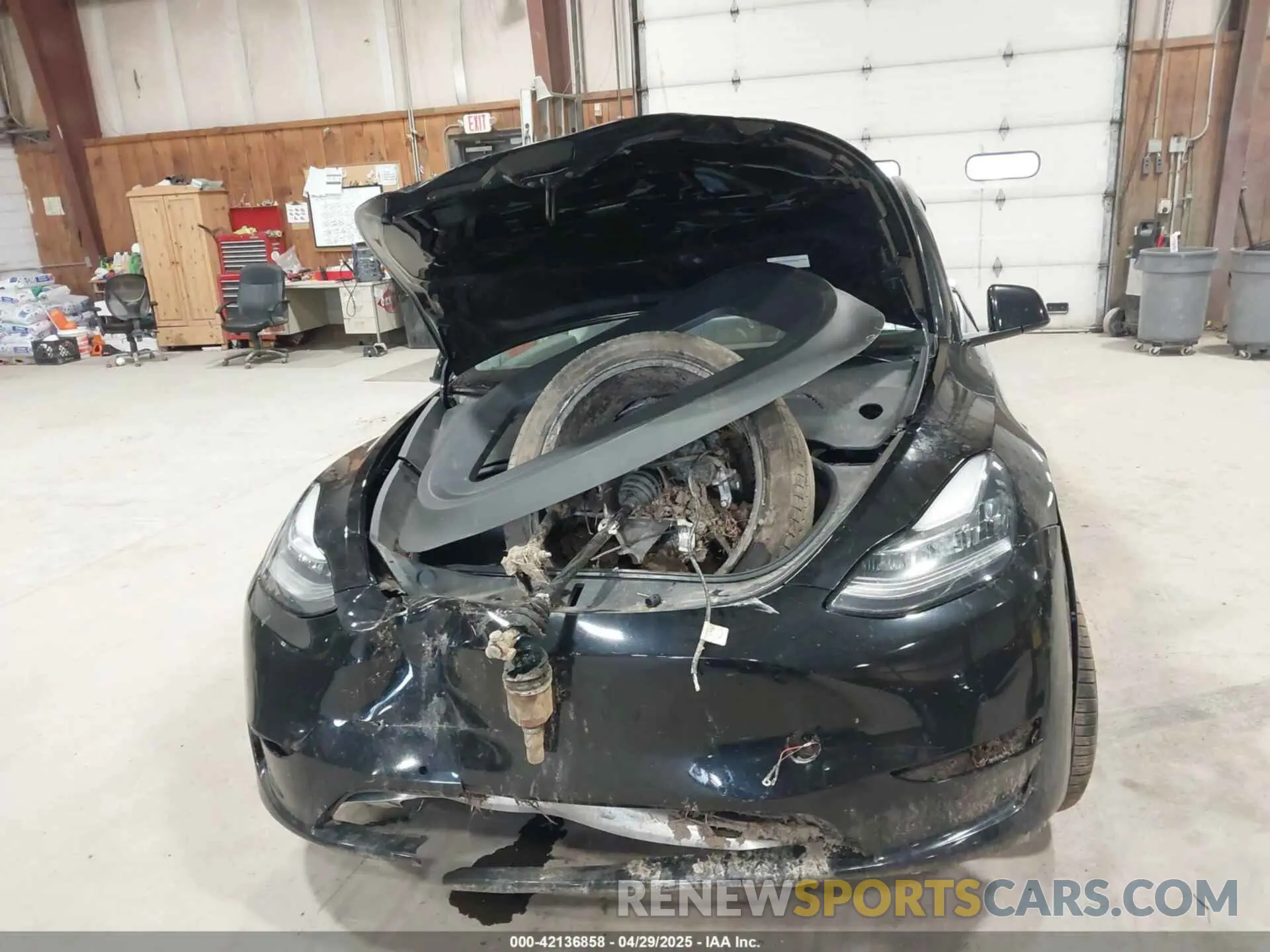 11 Photograph of a damaged car 7SAYGDEE0NF342215 TESLA MODEL Y 2022