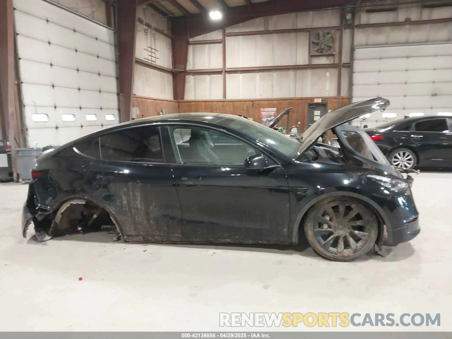 12 Photograph of a damaged car 7SAYGDEE0NF342215 TESLA MODEL Y 2022