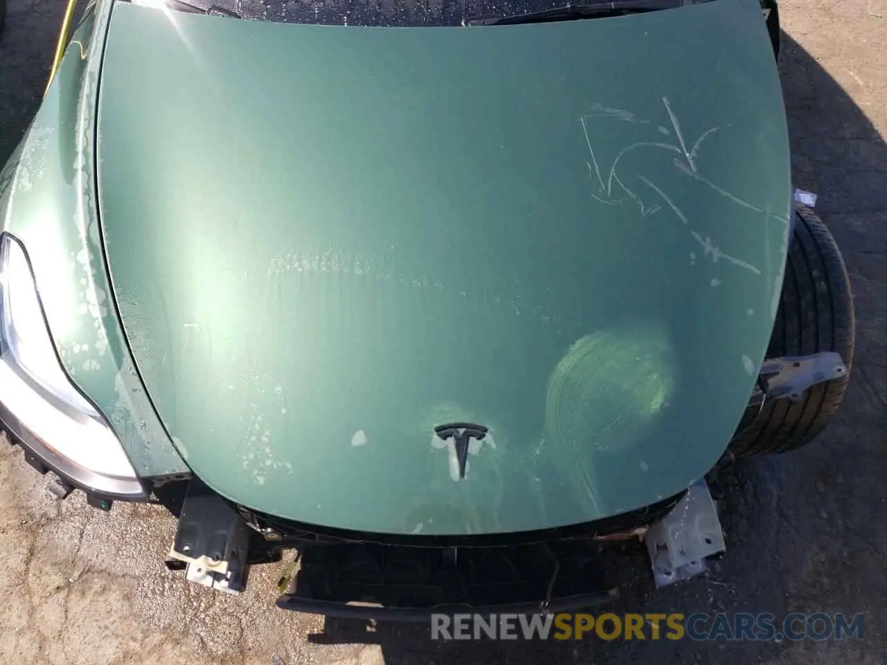 12 Photograph of a damaged car 7SAYGDEE0NF446218 TESLA MODEL Y 2022