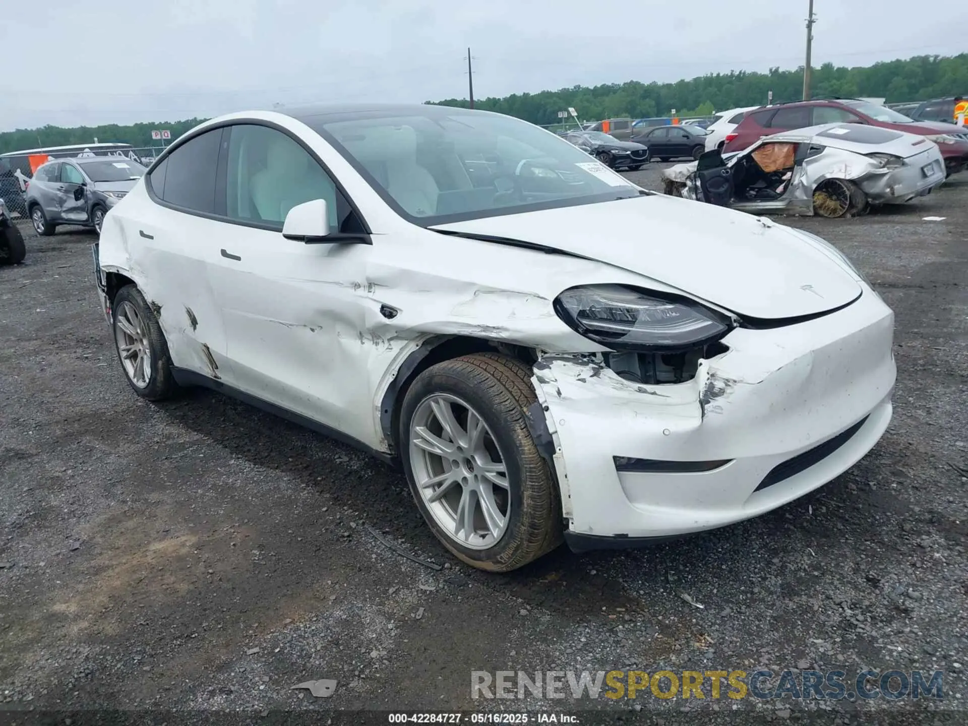 1 Photograph of a damaged car 7SAYGDEE1NF354678 TESLA MODEL Y 2022