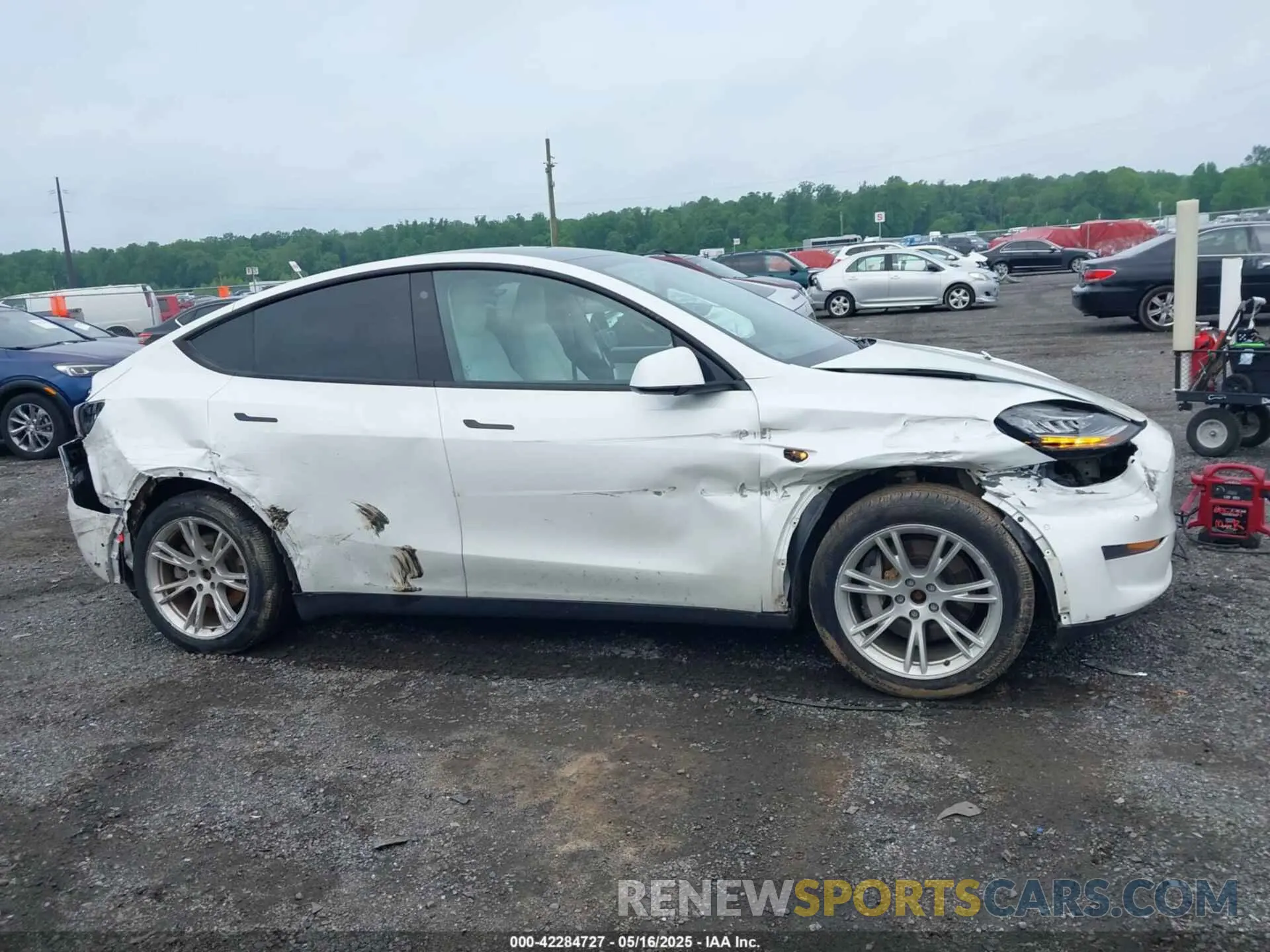 12 Photograph of a damaged car 7SAYGDEE1NF354678 TESLA MODEL Y 2022