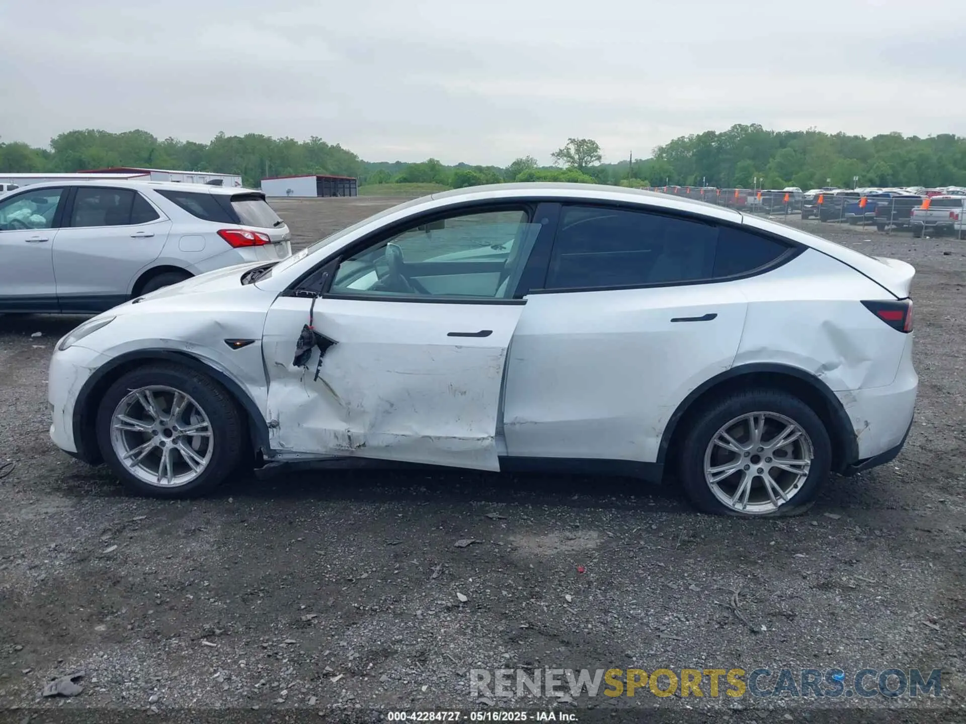 13 Photograph of a damaged car 7SAYGDEE1NF354678 TESLA MODEL Y 2022